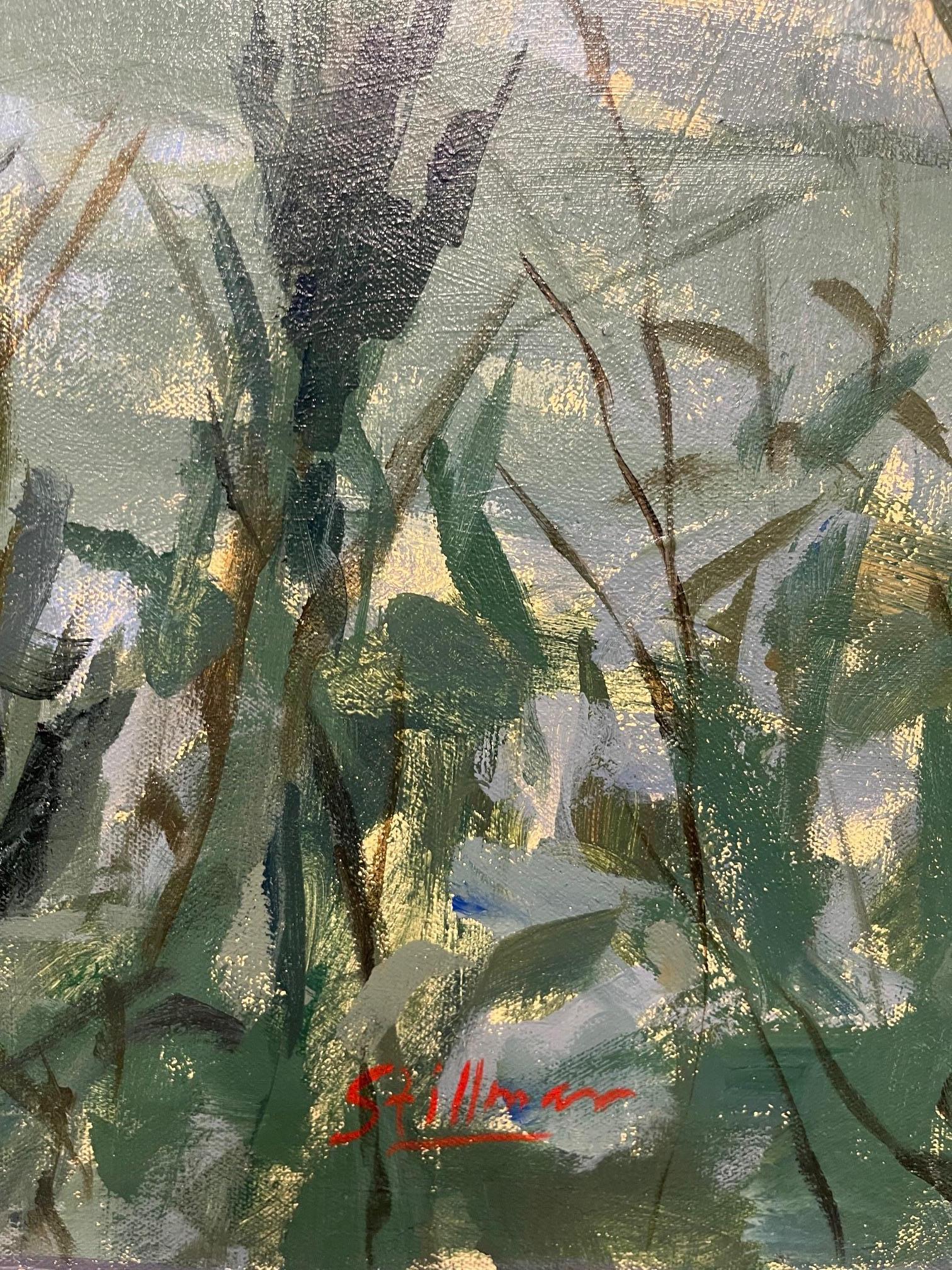 Framed Oil on Canvas 