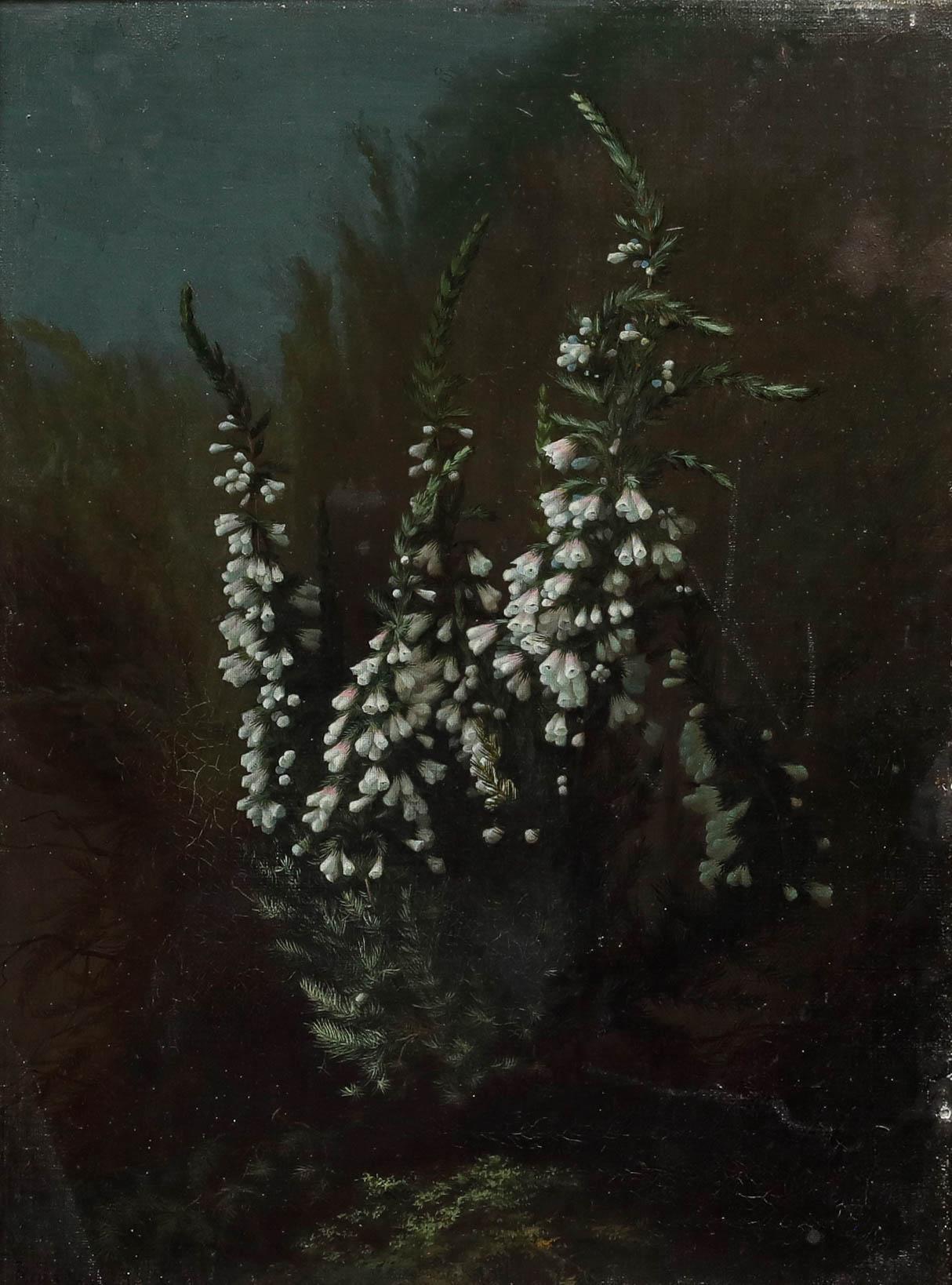 François Reynaud (1825-1909) - 1877 Huile, bruyère fleurie - Painting de Unknown