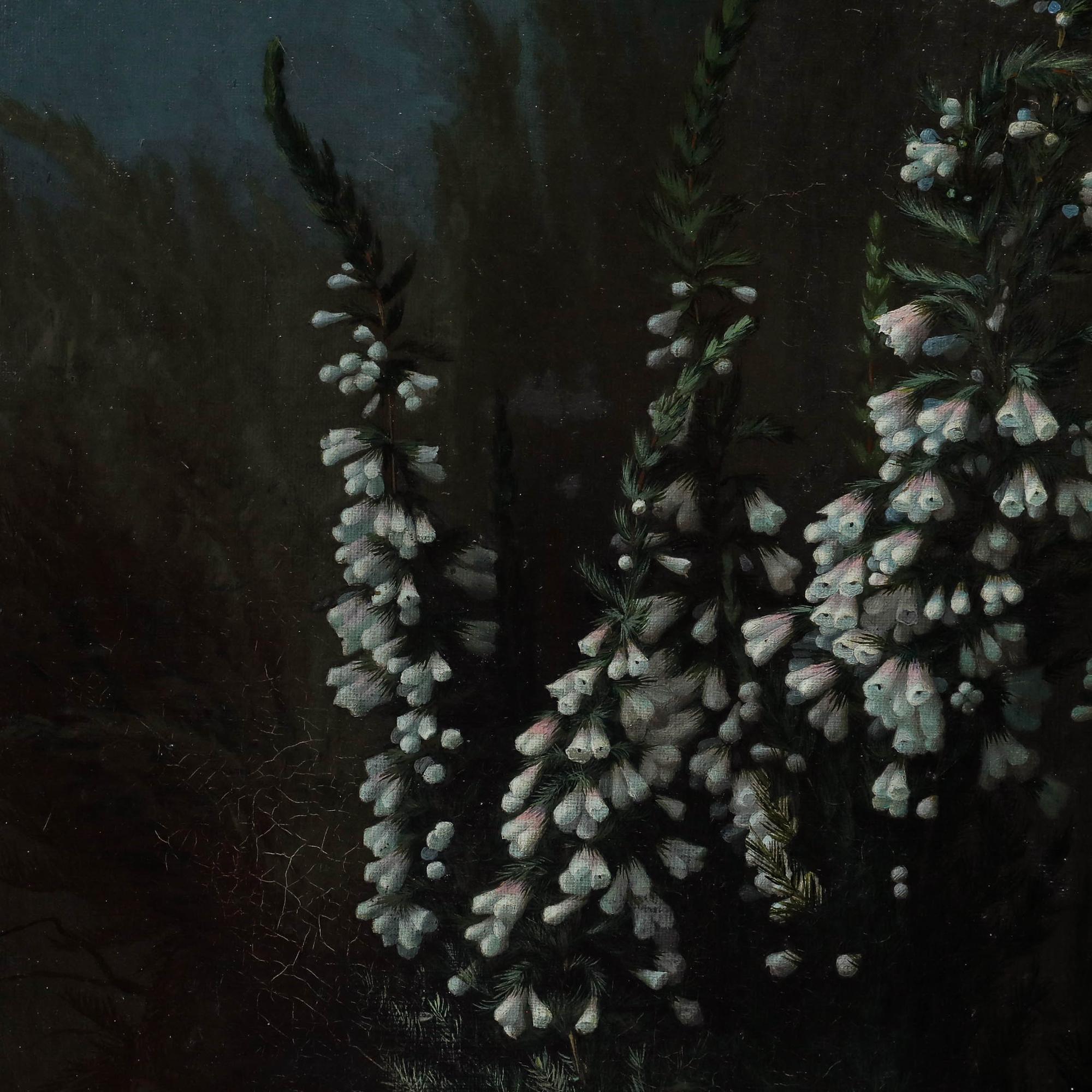 Cette nature morte évocatrice capture la beauté délicate des fleurs de bruyère blanche sur un fond sombre et lunatique. La composition verticale attire le regard vers le haut le long des tiges gracieuses, mettant en valeur les détails complexes des