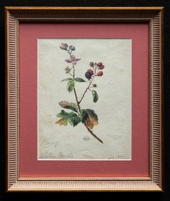 18 th Century French Botanical Watercolor Study of Raspberry Bramble
