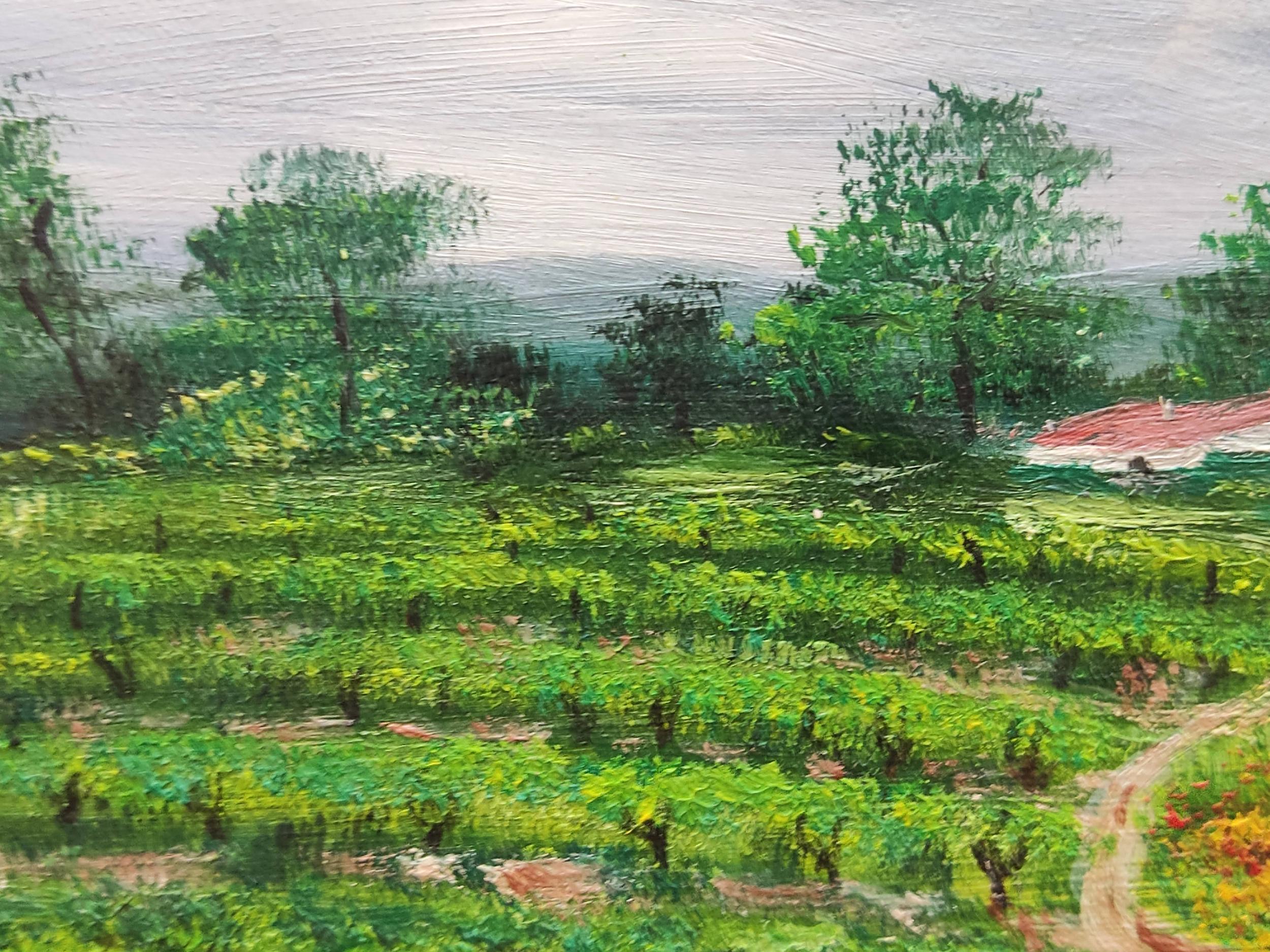 Impressionista francese in campagna, Pittura ad olio originale, campo di viti in vendita 1