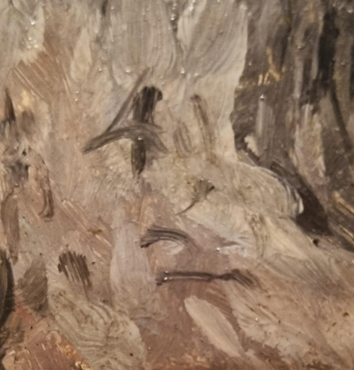 Peinture naturaliste française, étude d'arbre, milieu du 19e siècle - Painting de Unknown