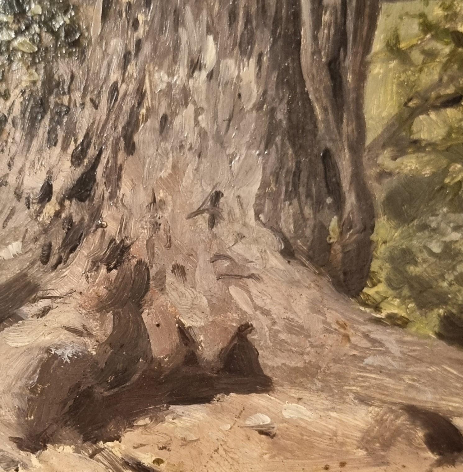 Peinture naturaliste française, étude d'arbre, milieu du 19e siècle - Naturalisme Painting par Unknown