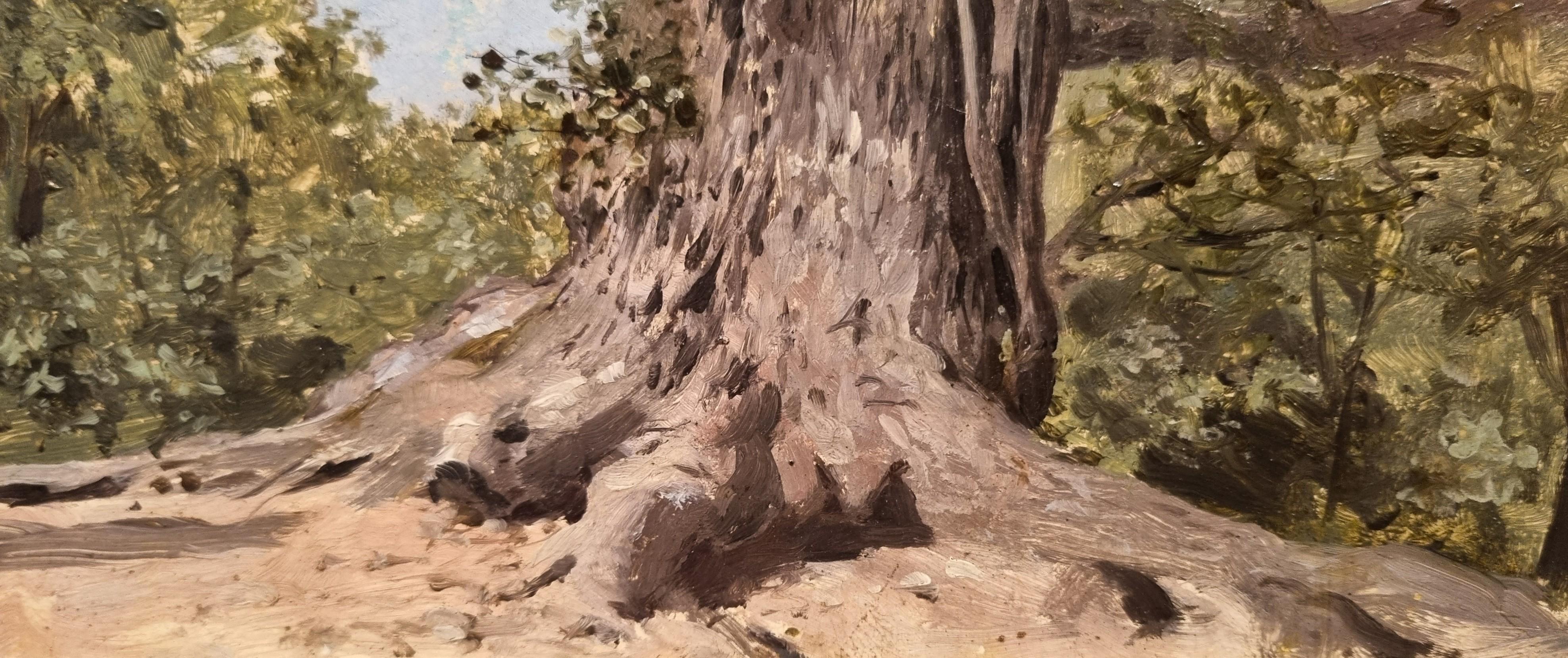 Peinture naturaliste française, étude d'arbre, milieu du 19e siècle 1