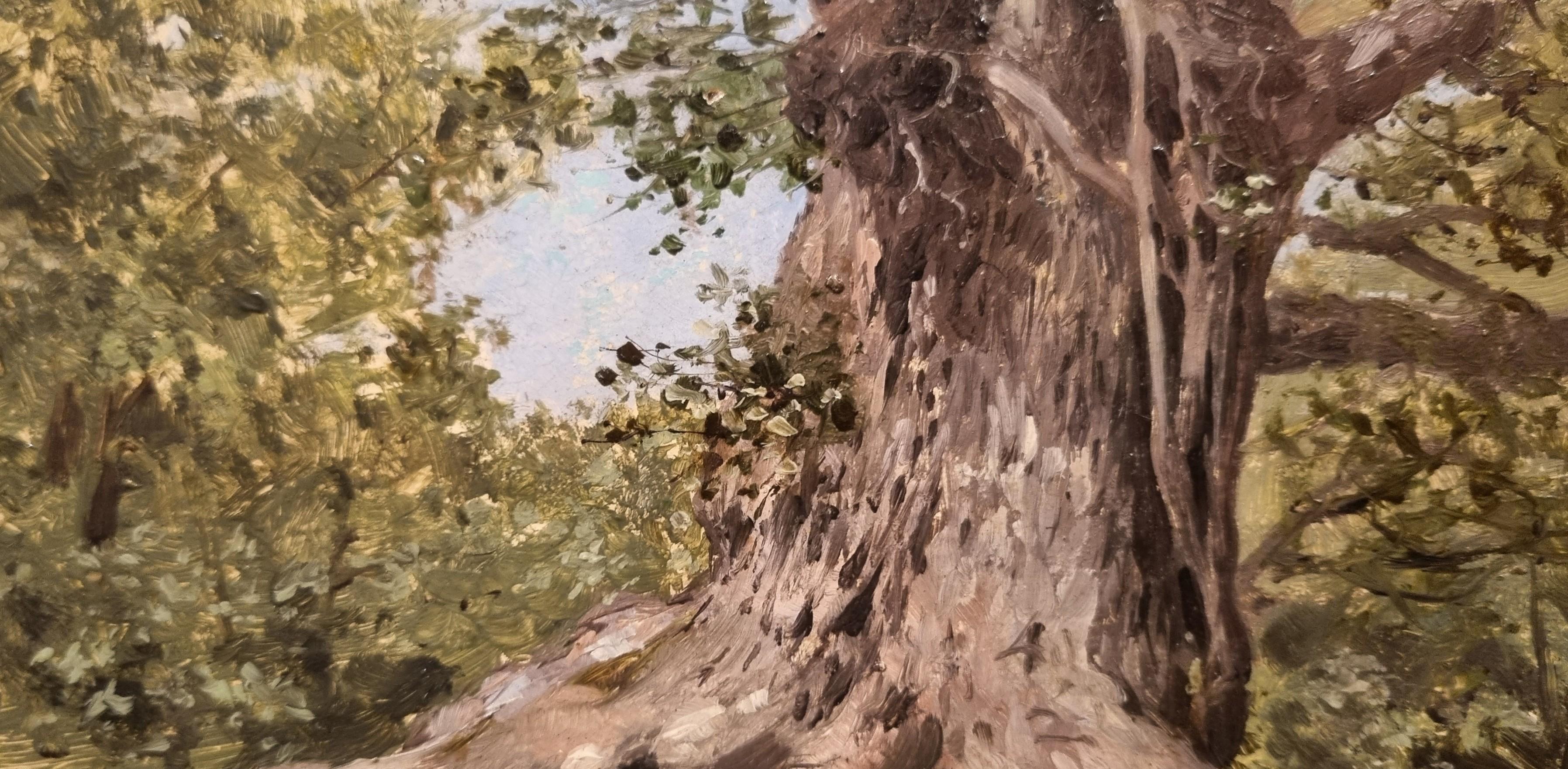 Peinture naturaliste française, étude d'arbre, milieu du 19e siècle 2