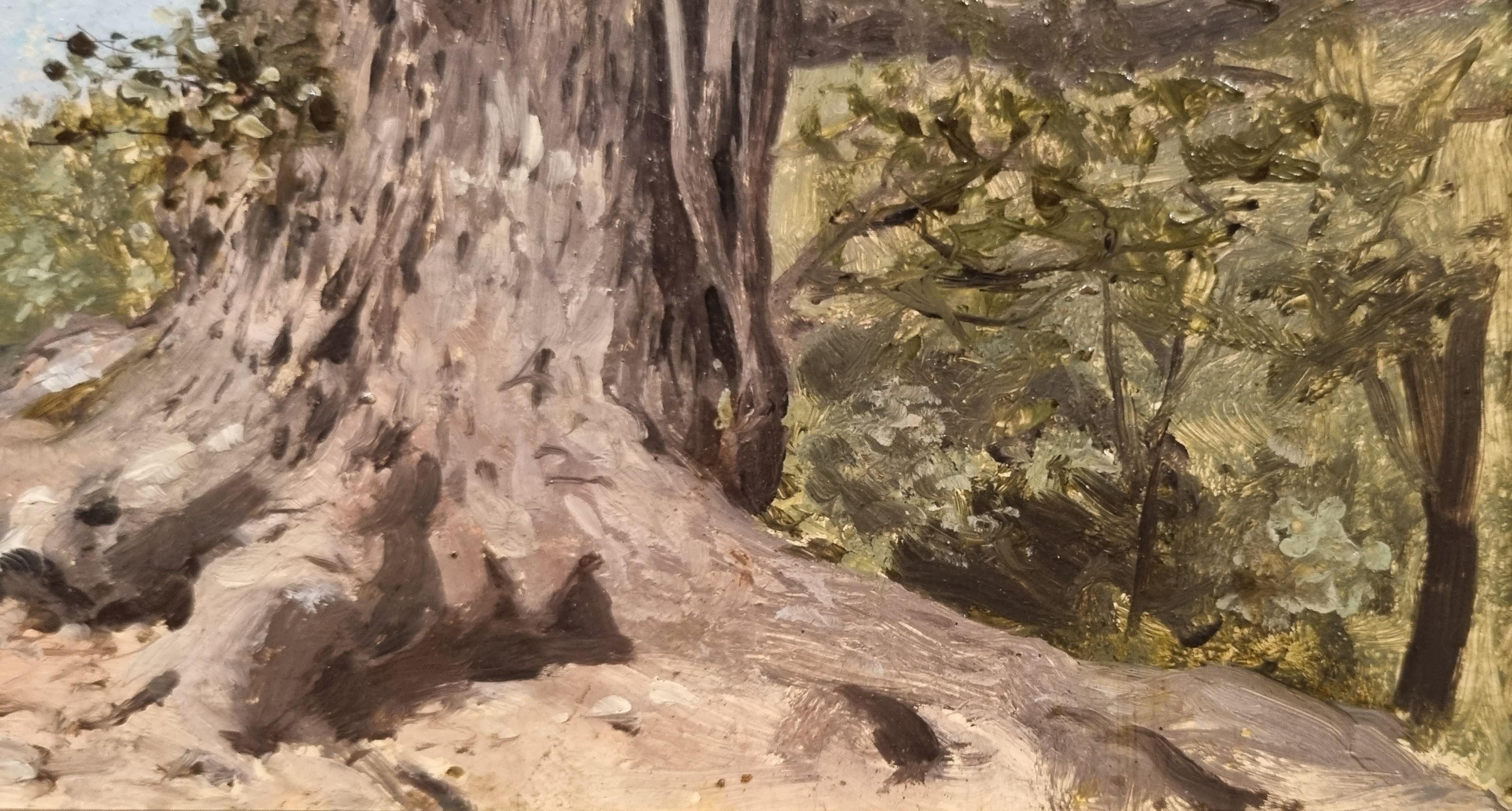Peinture naturaliste française, étude d'arbre, milieu du 19e siècle 3