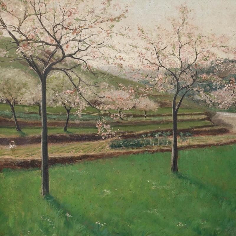 Diese heitere Frühlingslandschaft zeigt Kirschbäume in voller Blüte. Ihr zartes Blätterdach aus rosa und weißen Blüten fällt kaskadenartig über die Komposition in Richtung der dahinter liegenden sanften Hügel. Das Gemälde wird in einem kräftigen