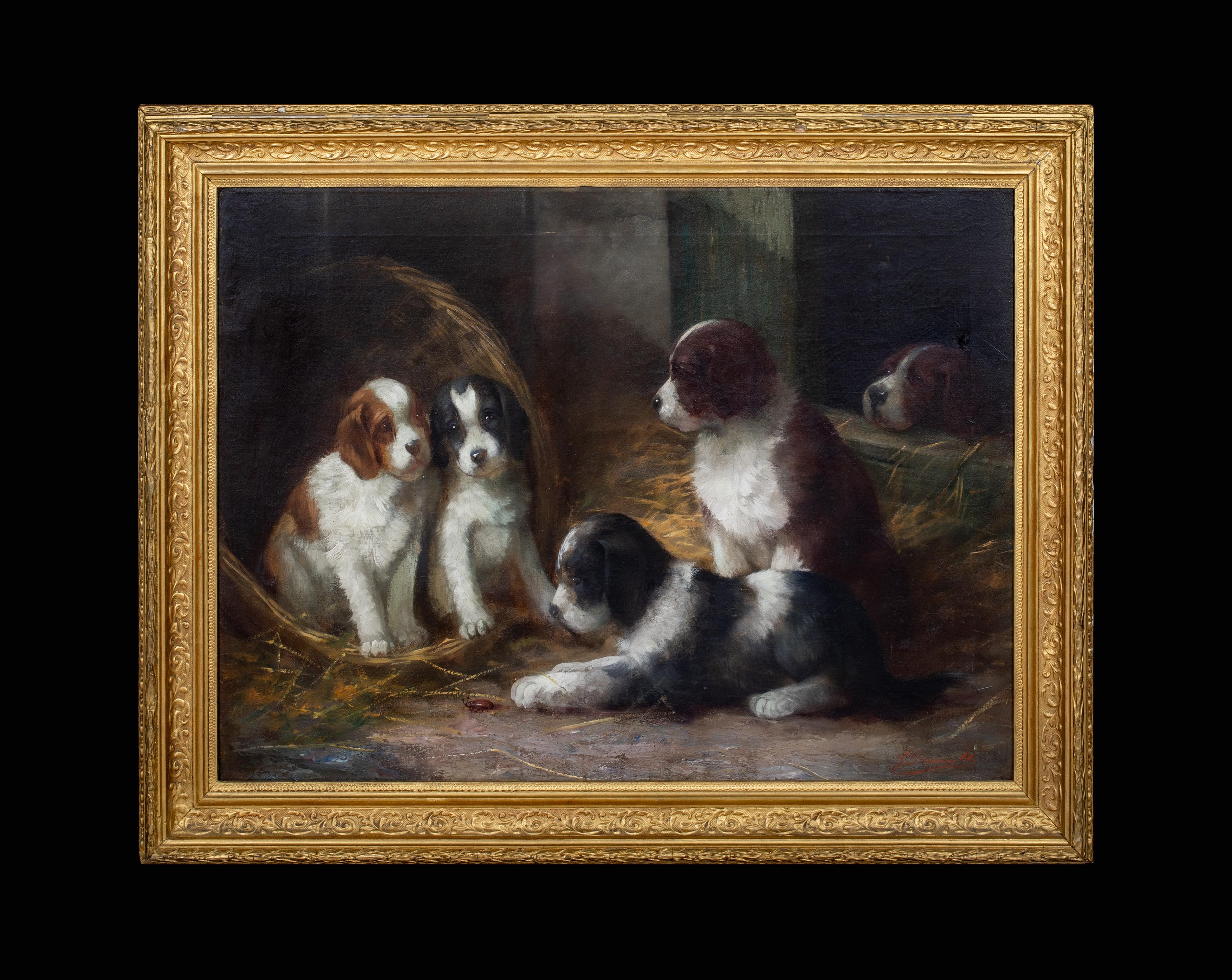 French Spaniel Puppies In A Barn, 19th Century  French School - by G De Cauville - Painting by Unknown