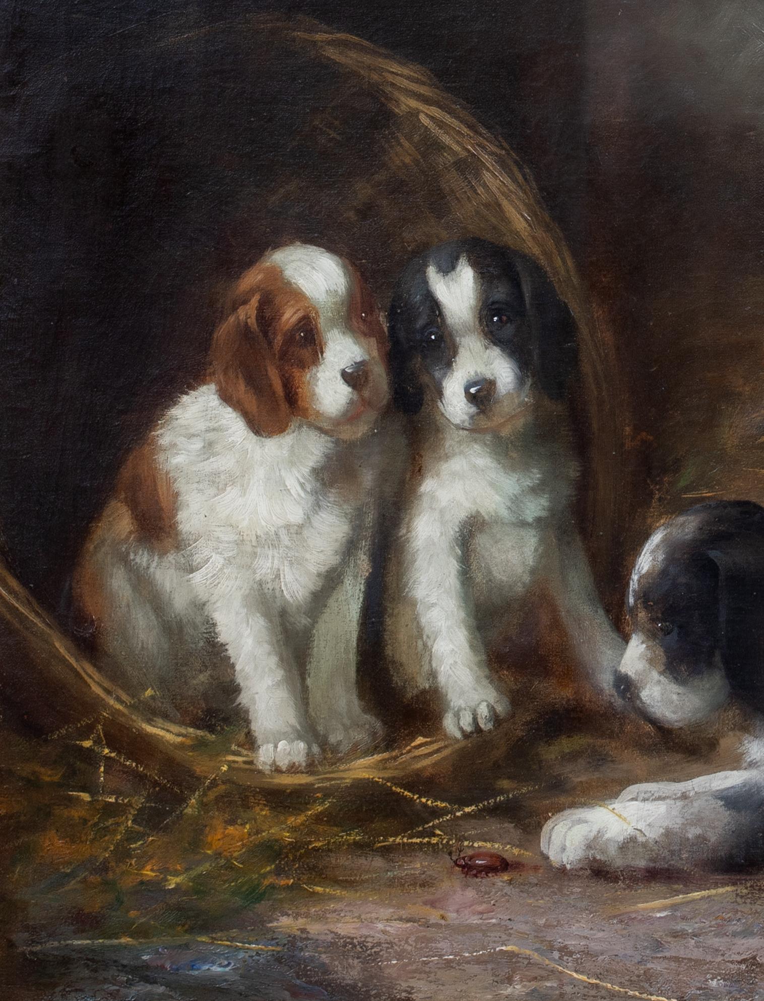 French Spaniel Puppies In A Barn, 19th Century  French School - by G De Cauville For Sale 1