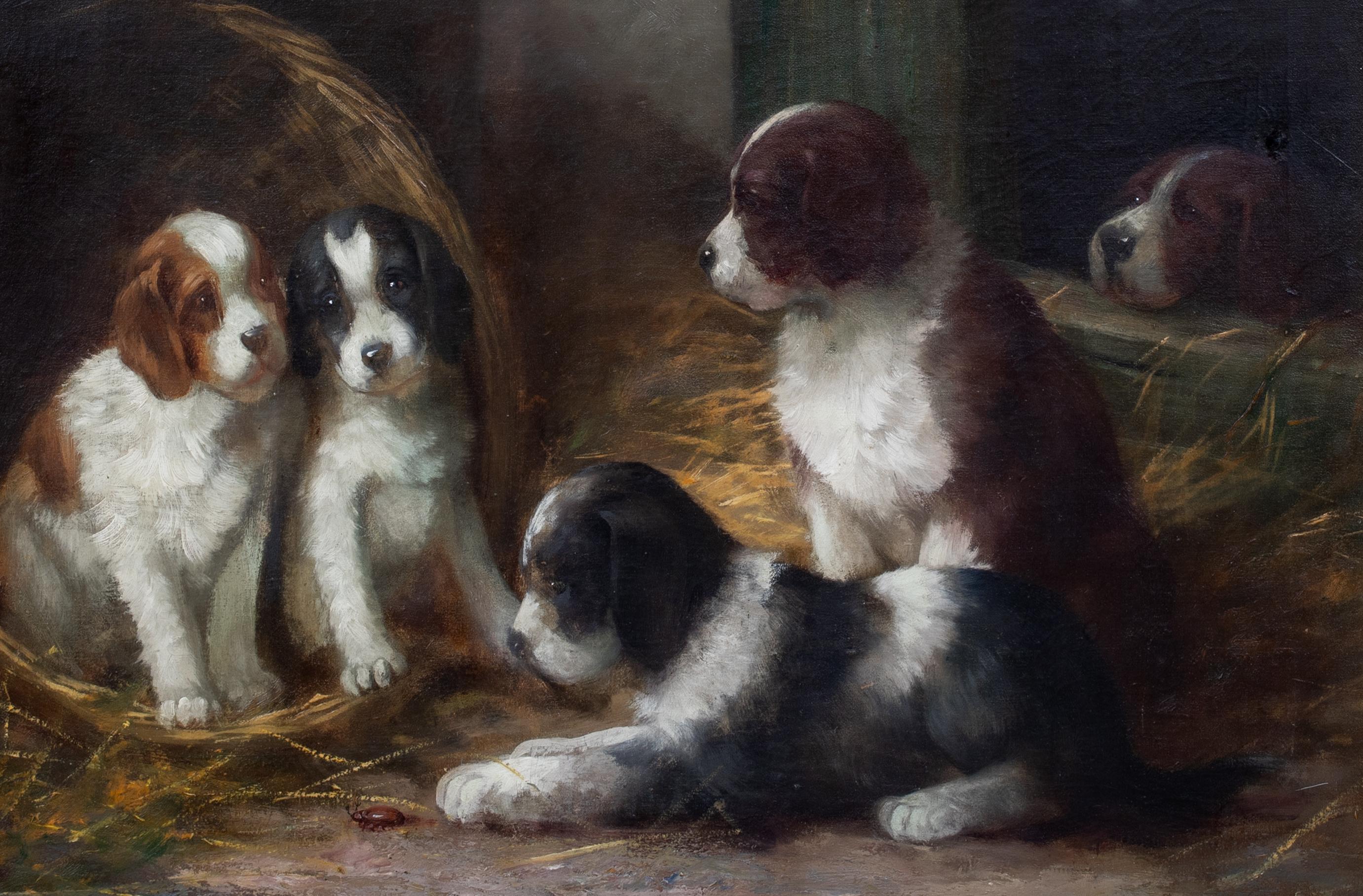 French Spaniel Puppies In A Barn, 19th Century  French School - by G De Cauville For Sale 3