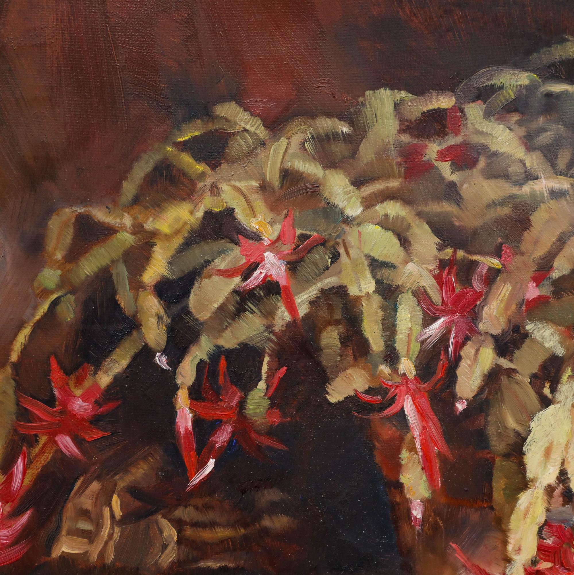 Ein lebhaftes Blumenstillleben mit einem großen Weihnachtskaktus in einem Terrakotta-Topf. Gut präsentiert in einem vergoldeten Rahmen. Signiert 