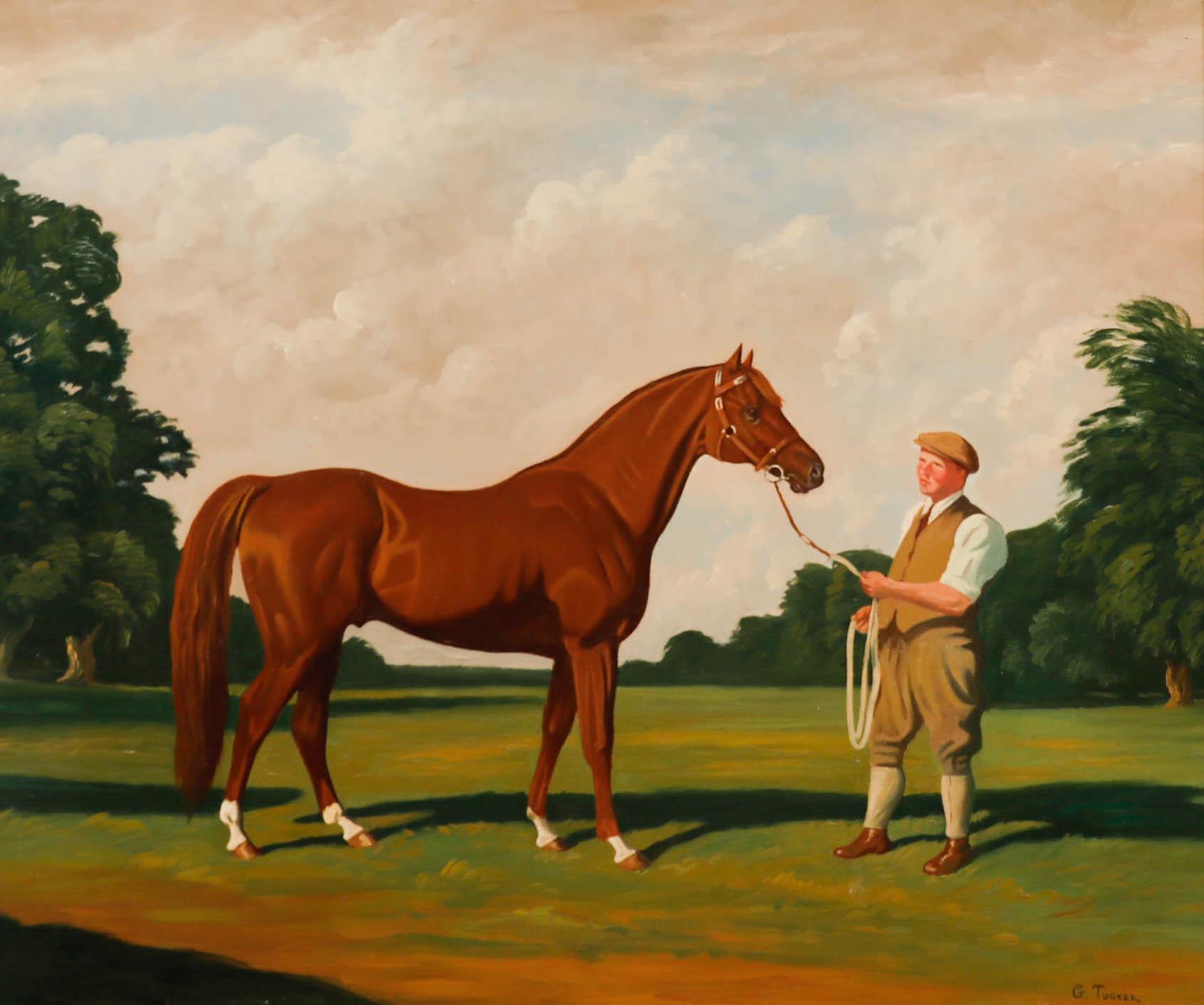 G. Tucker  - 20th Century Oil, Thoroughbred Stallion - Painting by Unknown