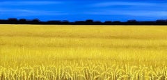 champ de blé doré, Ukraine par Vokiana