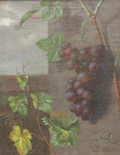 Uvas en la viña