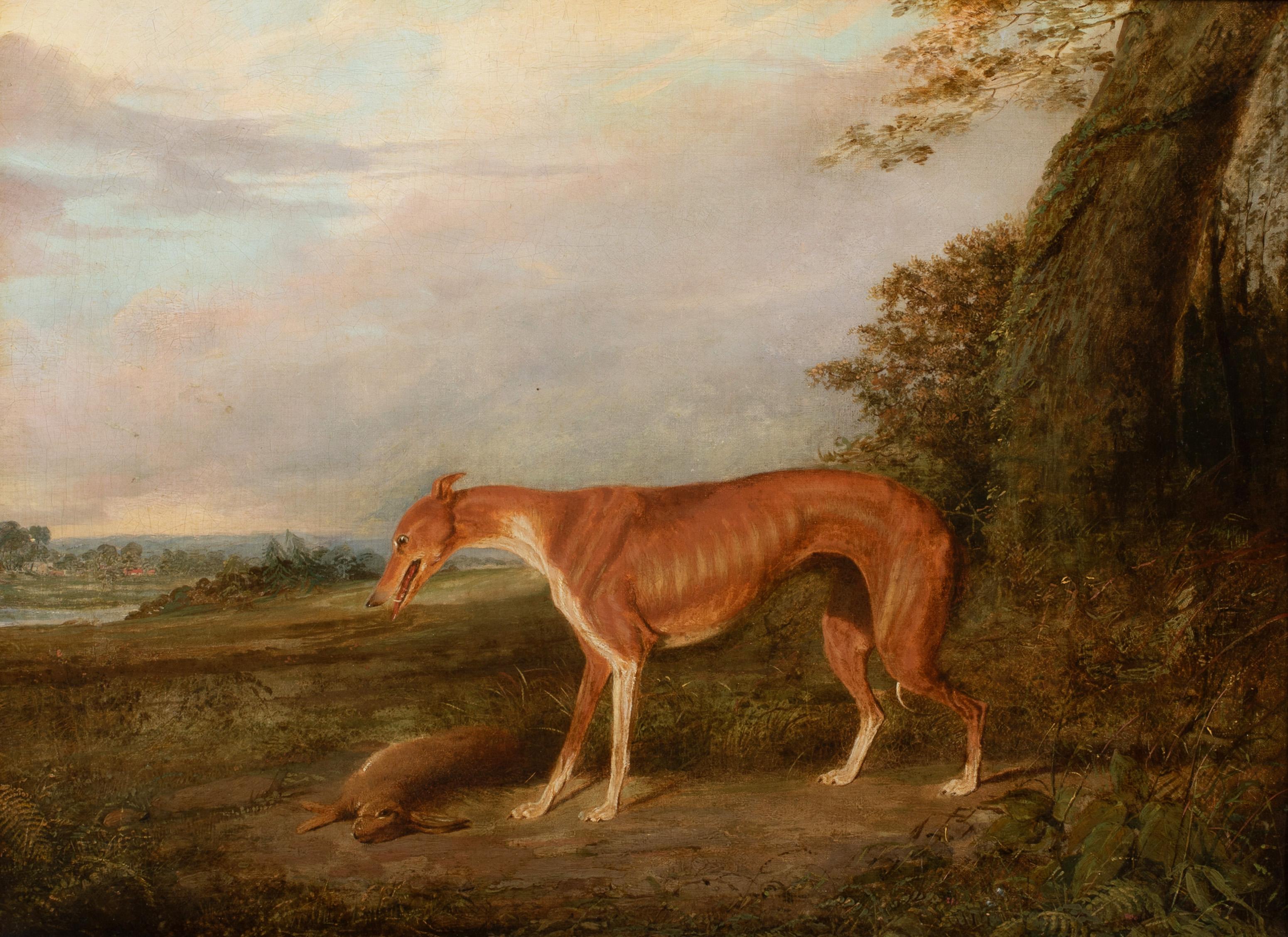 Unknown Portrait Painting - Greyhound With A Hare, early 19th Century  English School 
