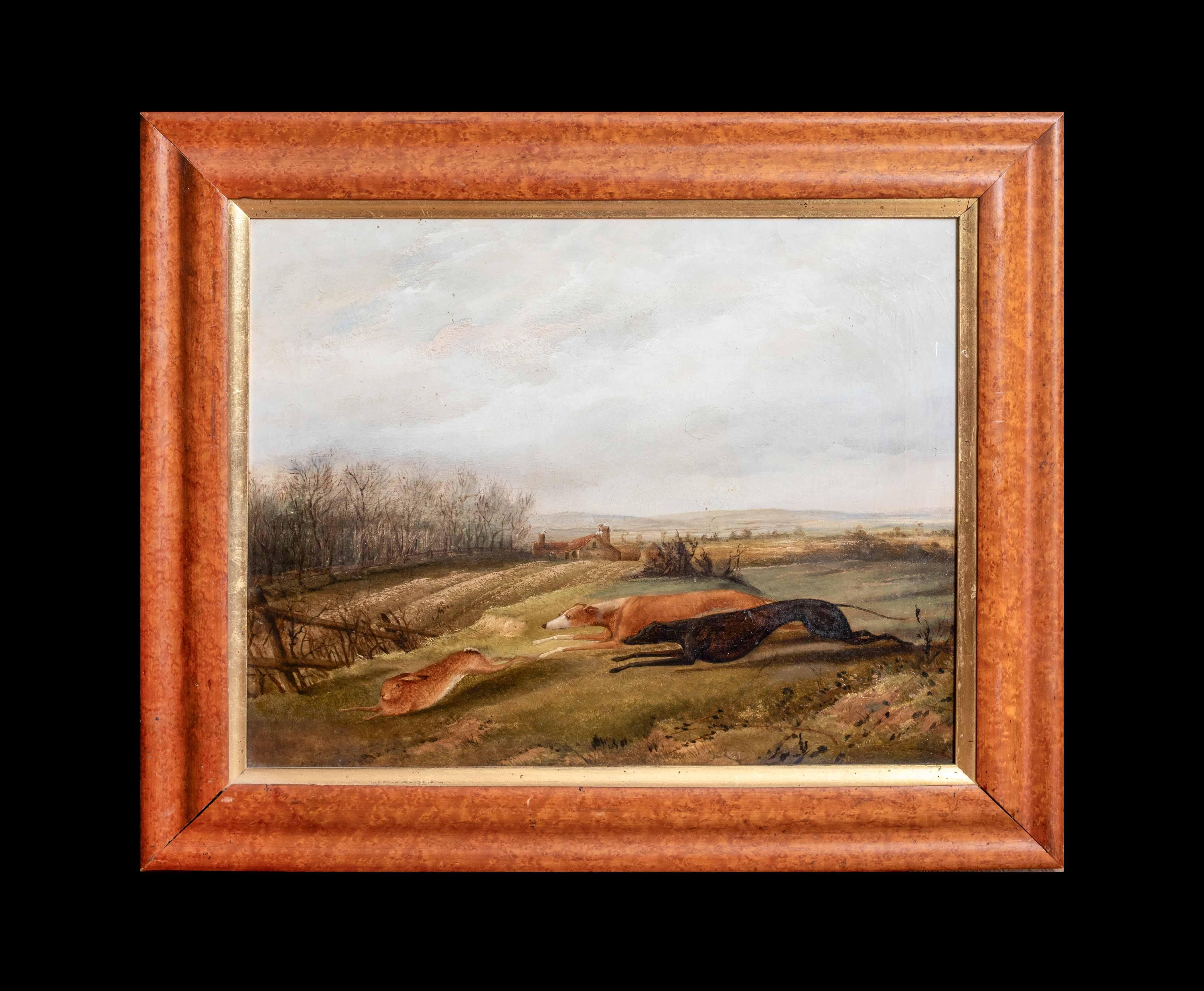 Greyhounds Hare Coursing, 19th Century  attributed to RICHARD JONES (1767-1840) - Painting by Unknown