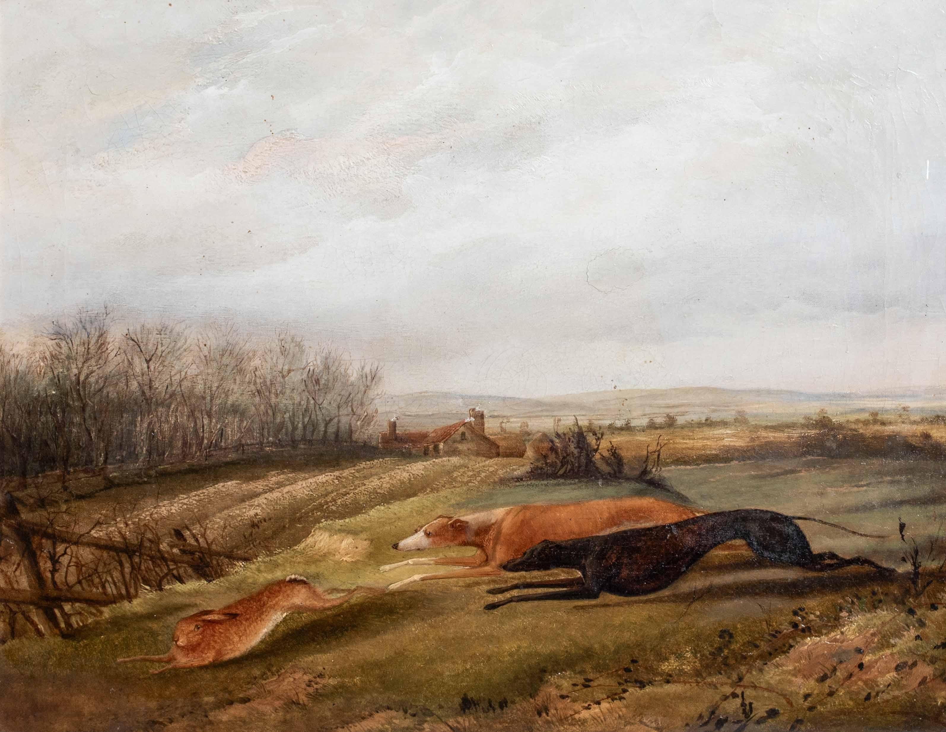 Greyhounds Hare Coursing, 19th Century  attributed to RICHARD JONES (1767-1840) - Brown Animal Painting by Unknown