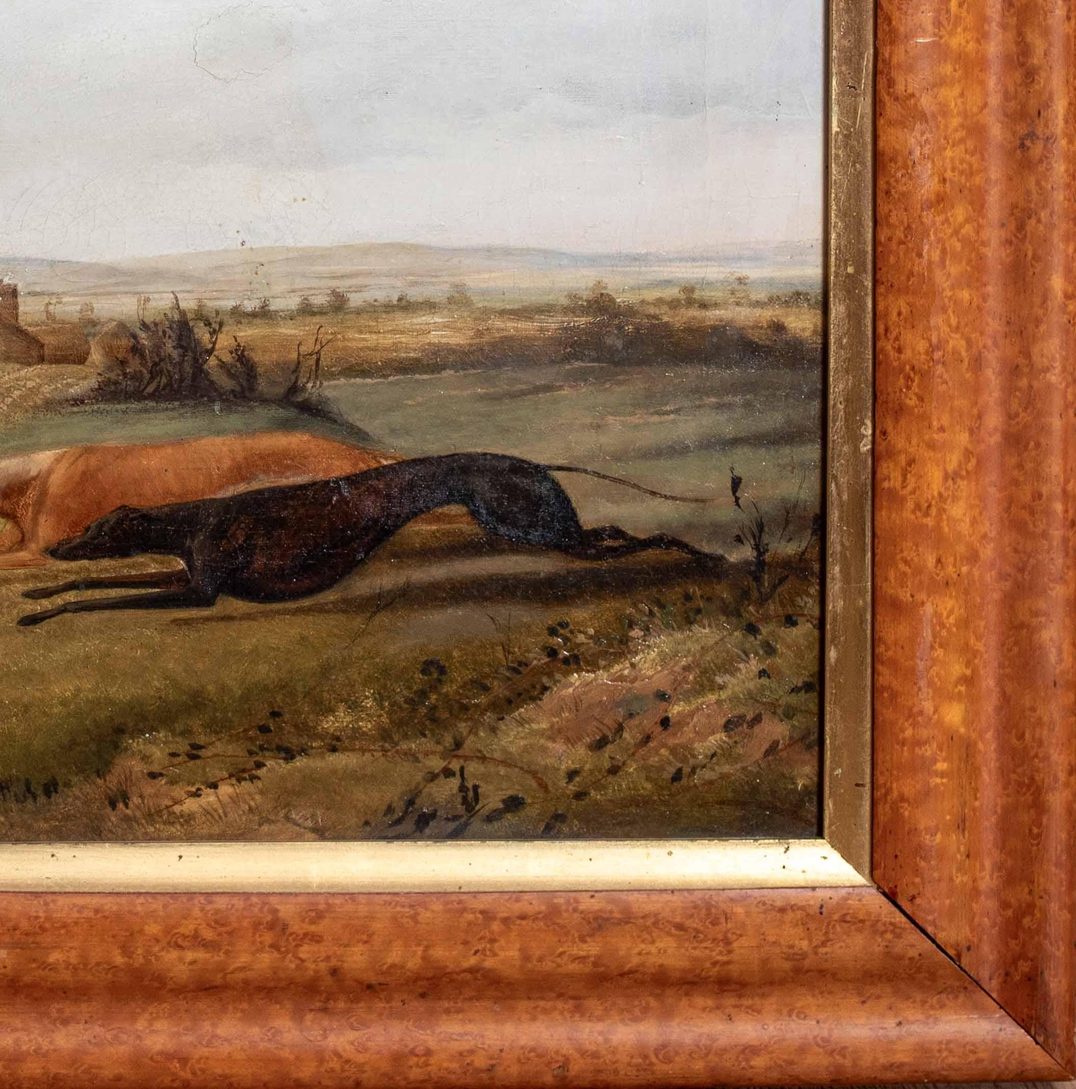 Greyhounds Hare Coursing, 19th Century

attributed to RICHARD JONES (1767-1840)

Circa 1800 Century English Greyhound Coursing scene, oil on canvas. Excellent quality and condition rare early Greyhound coursing scene with two greyhounds in close