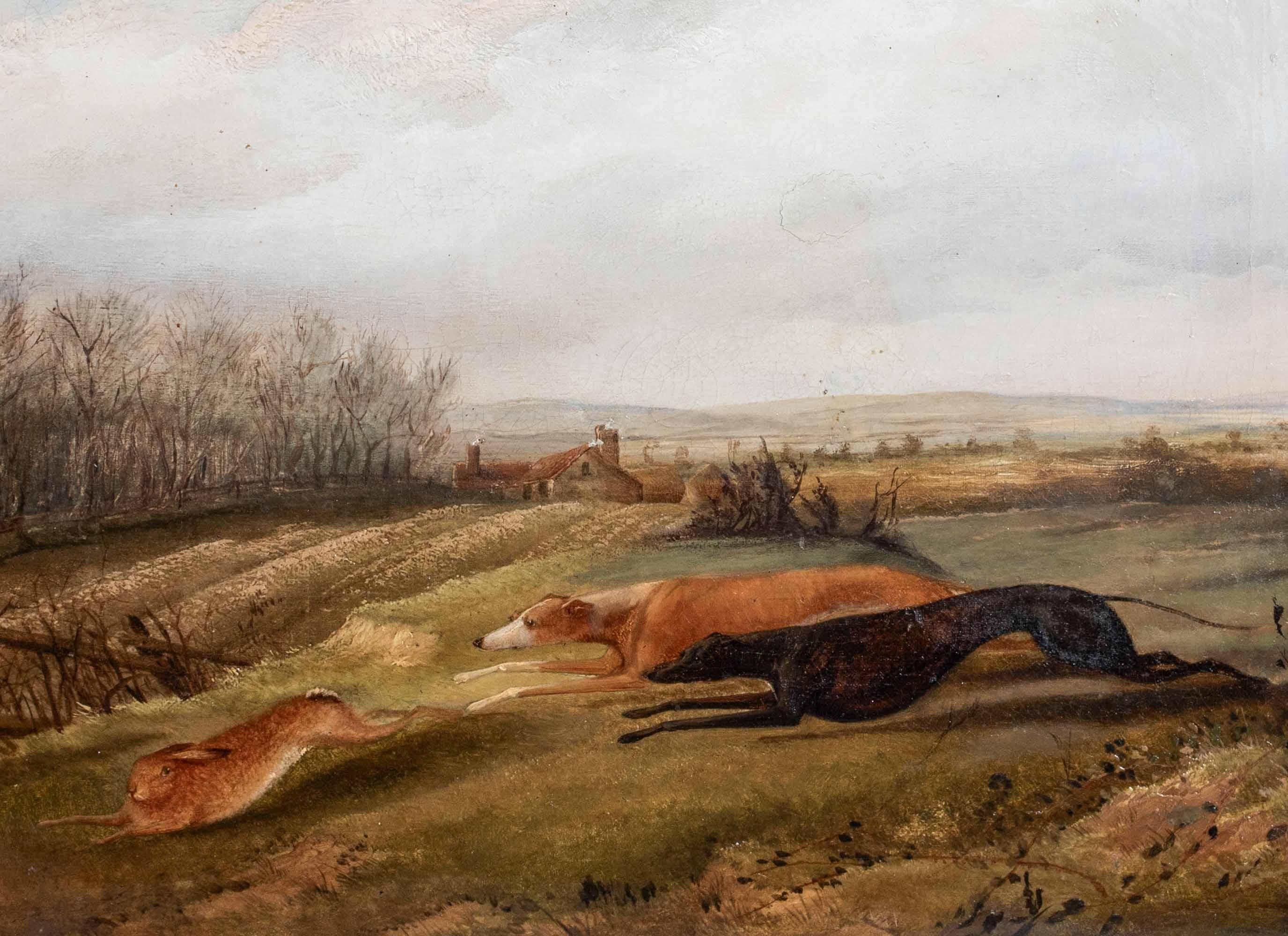 Greyhounds Hare Coursing, 19th Century  attributed to RICHARD JONES (1767-1840) For Sale 1