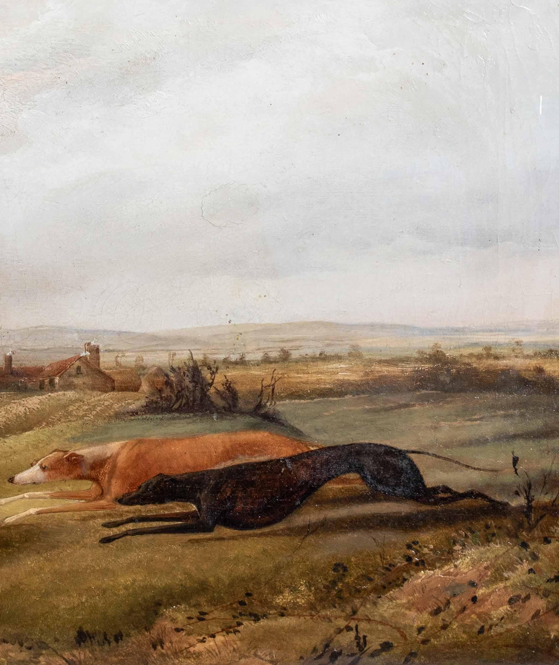 Greyhounds Hare Coursing, 19th Century  attributed to RICHARD JONES (1767-1840) For Sale 2