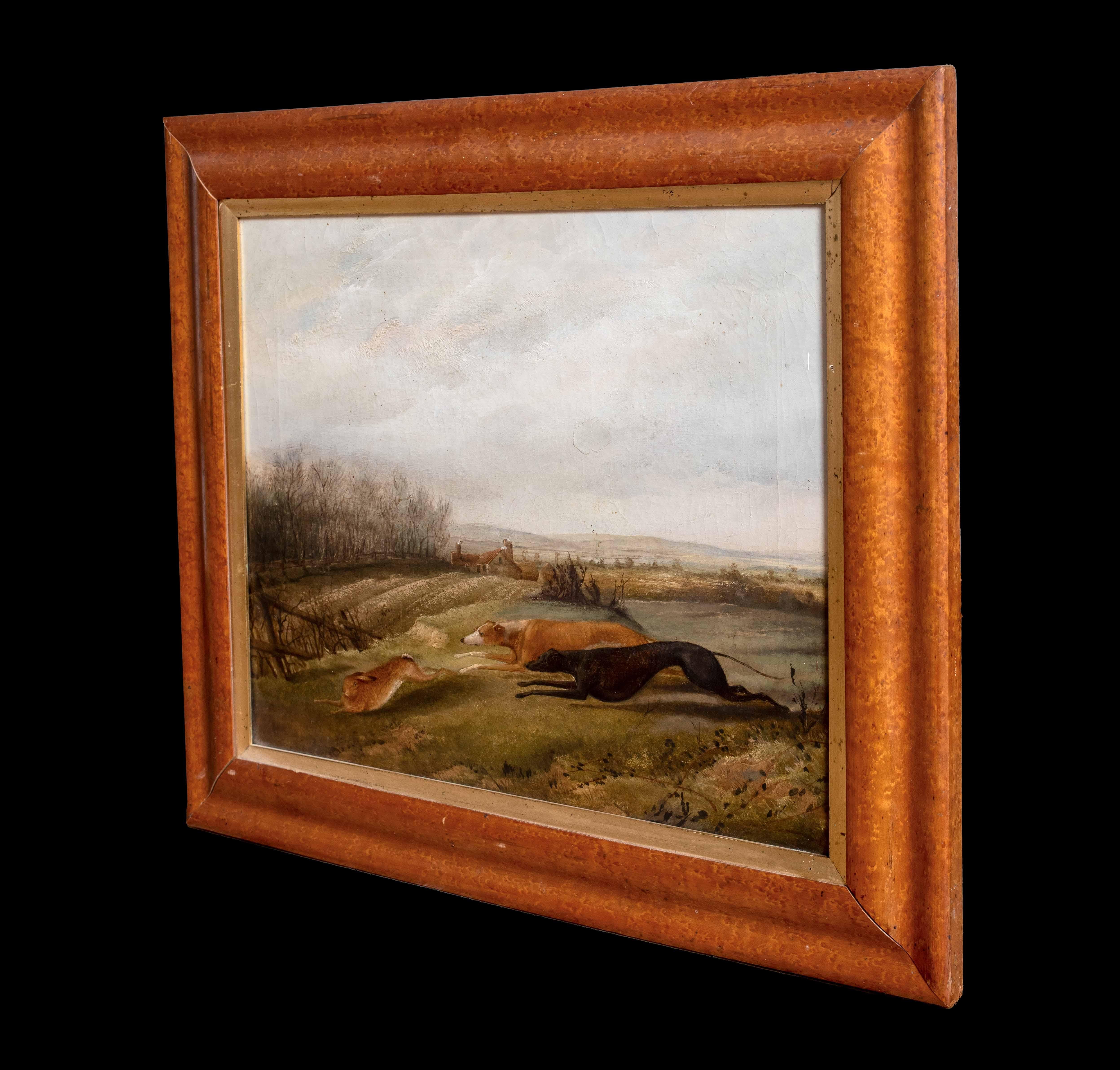 Greyhounds Hare Coursing, 19th Century  attributed to RICHARD JONES (1767-1840) For Sale 4