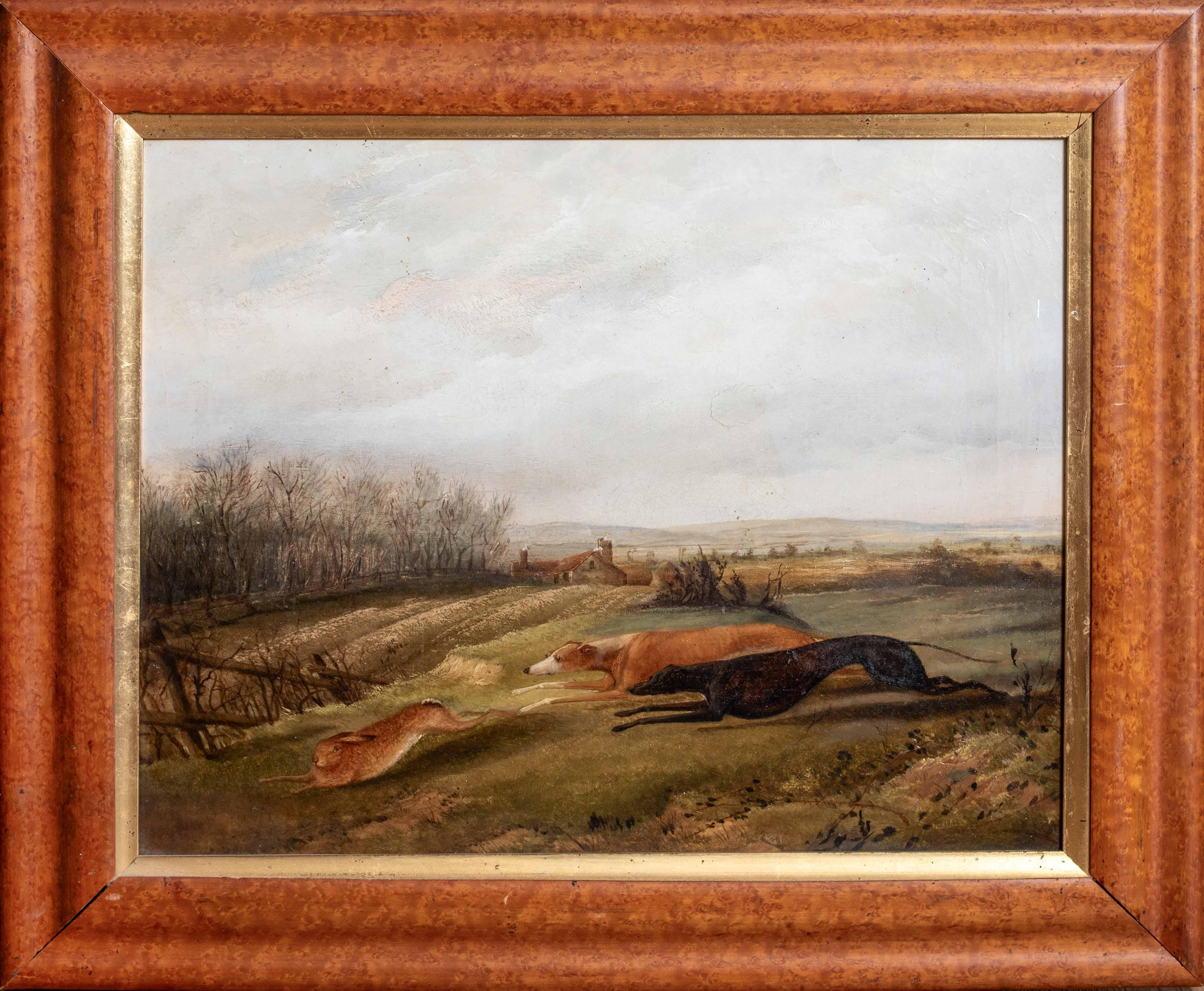 Unknown Animal Painting - Greyhounds Hare Coursing, 19th Century  attributed to RICHARD JONES (1767-1840)