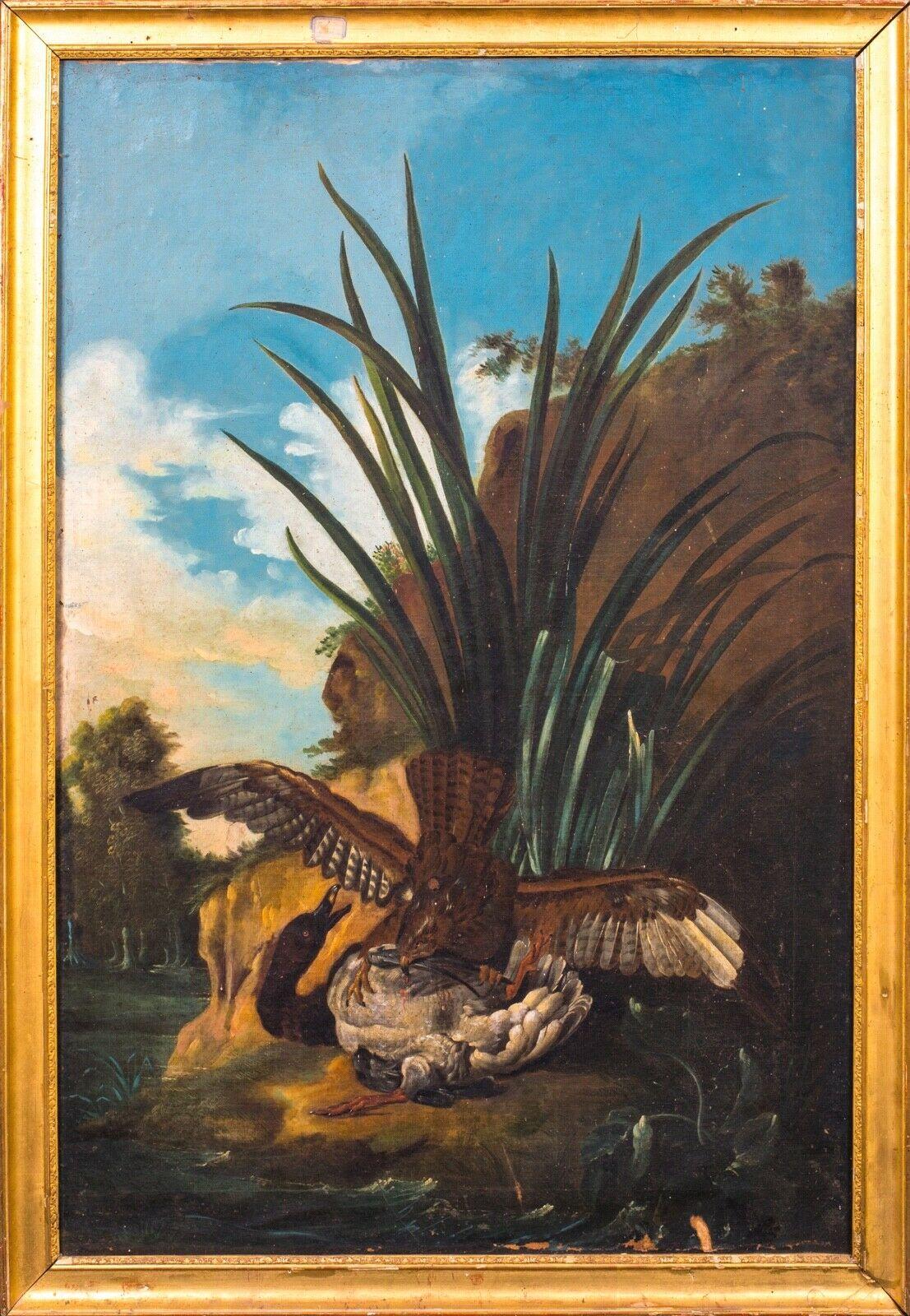 Unknown Landscape Painting - Hawk Attacking A Duck, 18th Century 