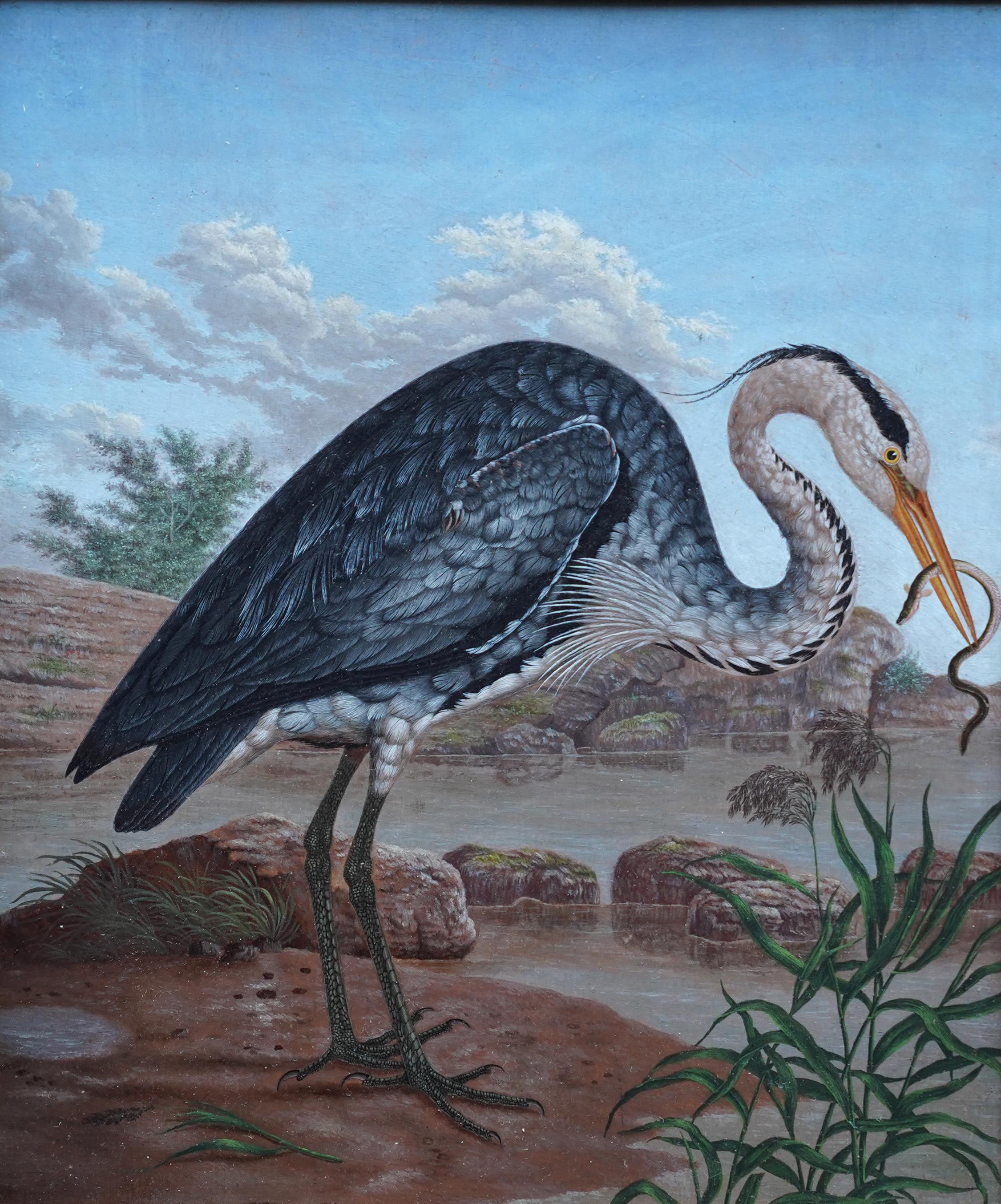 Heron by Water's Edge - Anglo-Indian 19th century bird art oil painting For Sale 9
