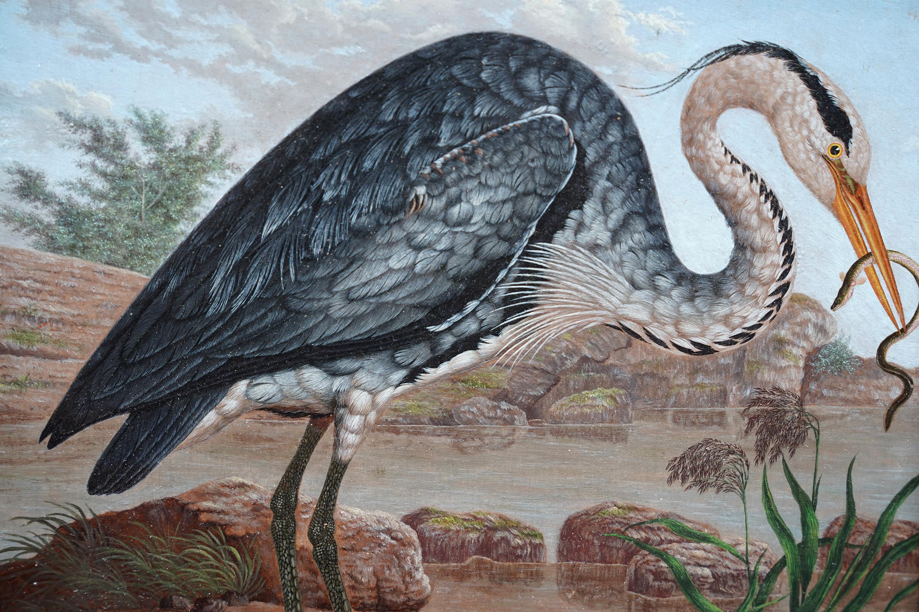 Heron by Water's Edge - Anglo-Indian 19th century bird art oil painting - Old Masters Painting by Unknown