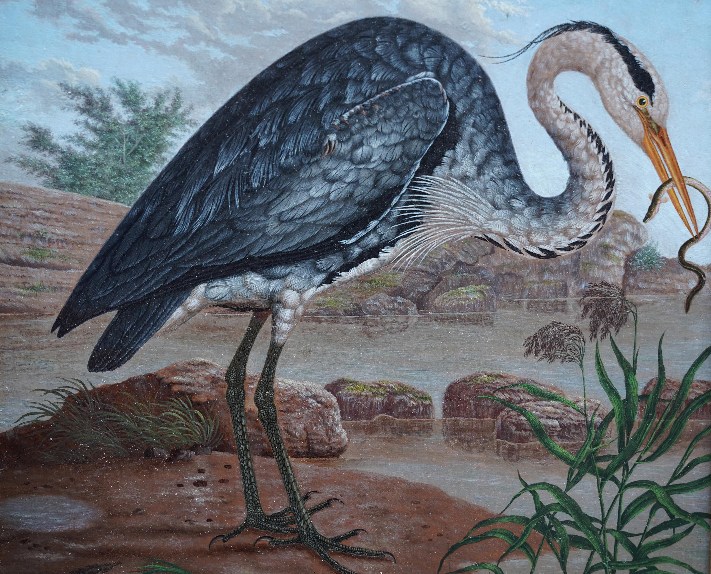 Heron by Water's Edge - Anglo-Indian 19th century bird art oil painting - Gray Animal Painting by Unknown
