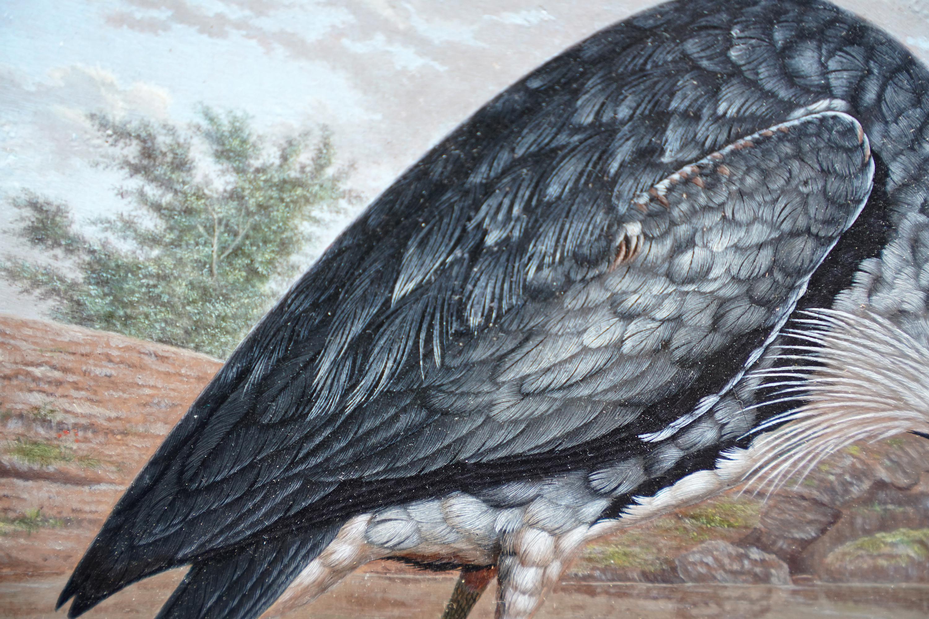 This beautiful Anglo Indian 19th century bird oil painting on panel has something rather special about it. Painted circa 1810, a fantastic large grey and white heron is stood in the foreground with an eel in its long yellow beak. It is standing at