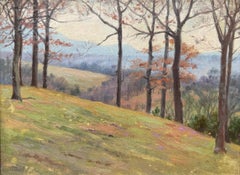 Hillside in Vermont  - American School