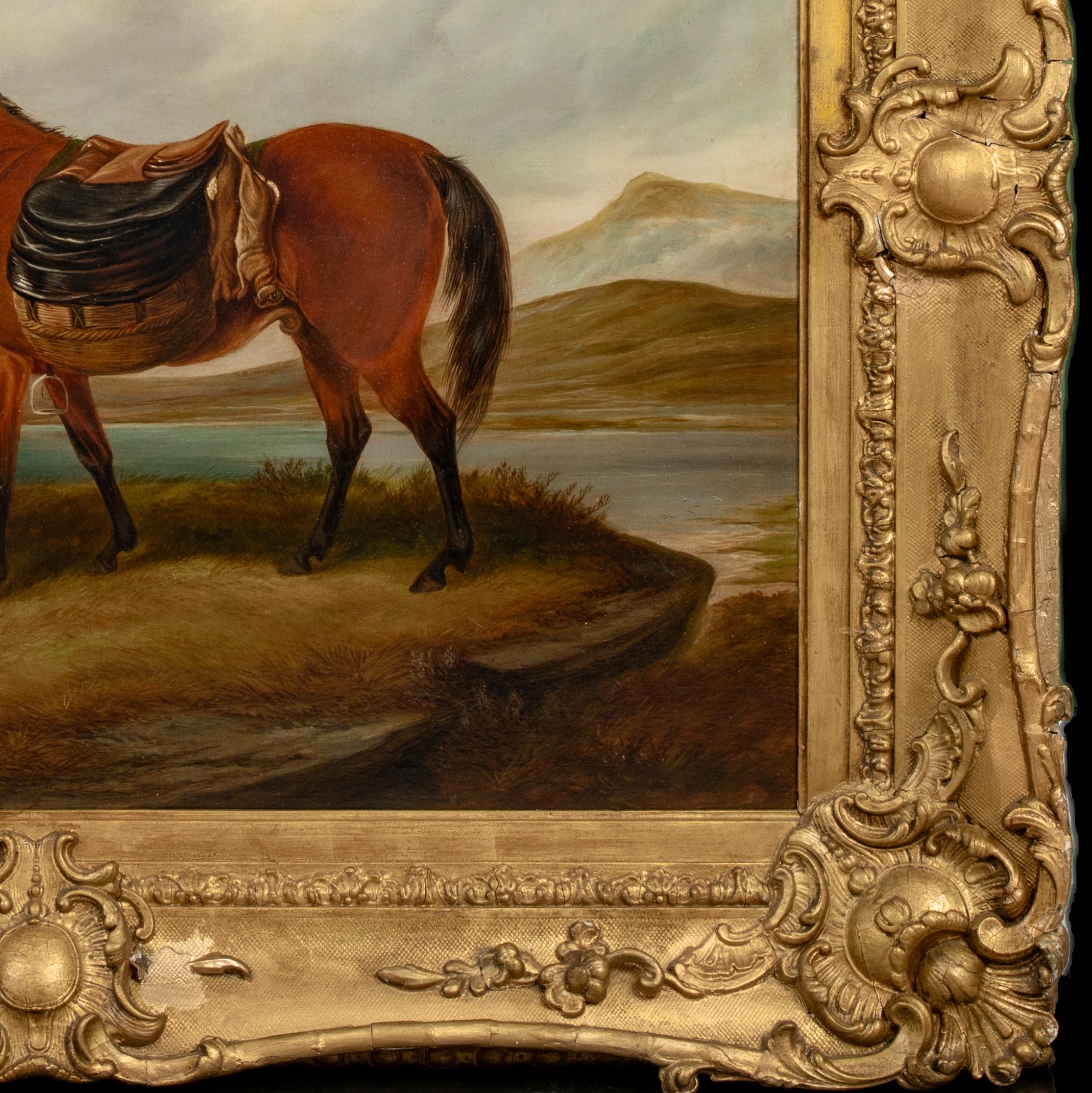 Horse and Dogs in a Highland Landscape, dated 1913  by William E. POWELL  For Sale 1