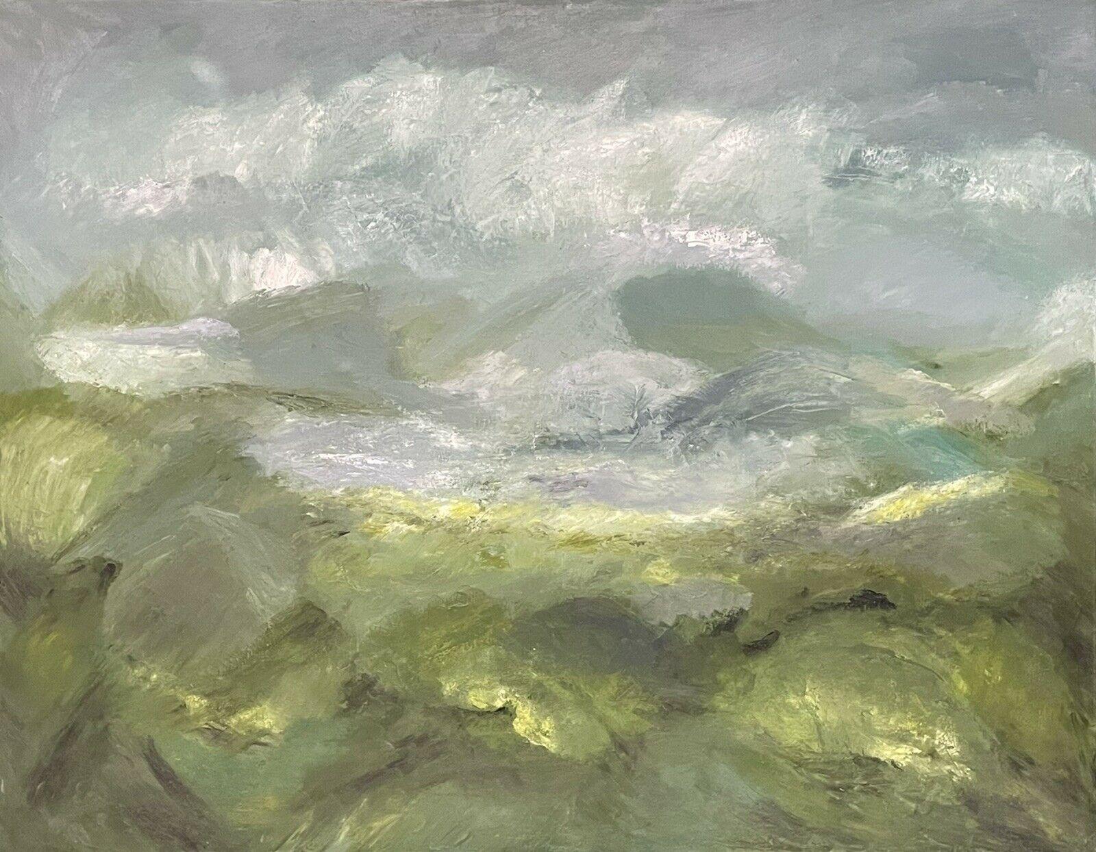 Unknown Landscape Painting - HUGE 1970'S BRITISH IMPRESSIONIST OIL PAINTING ON CANVAS - WINDSWEPT LANDSCAPE