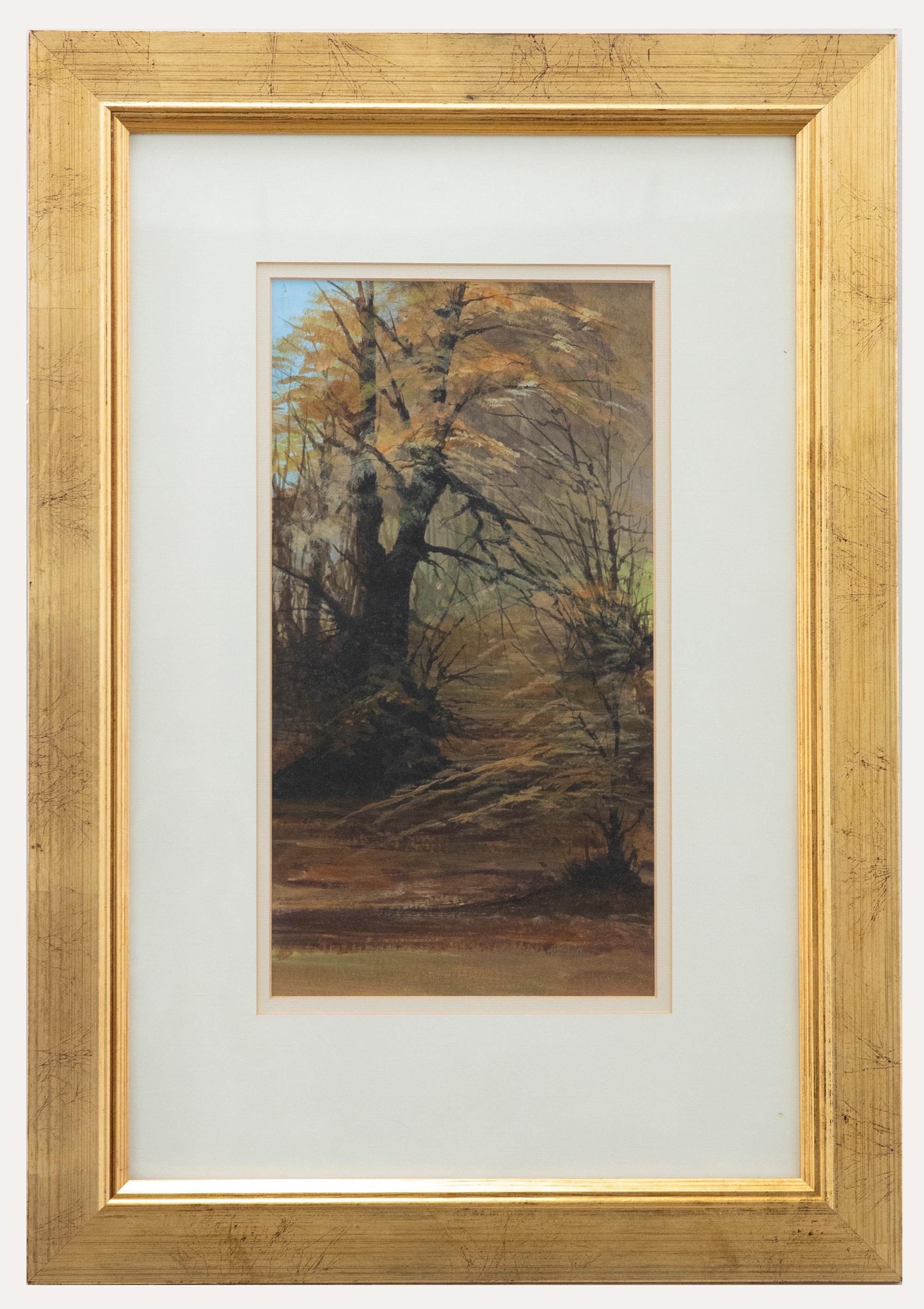 Unknown Landscape Painting - Ian Shearman   - 20th Century Acrylic, Cranham Woods