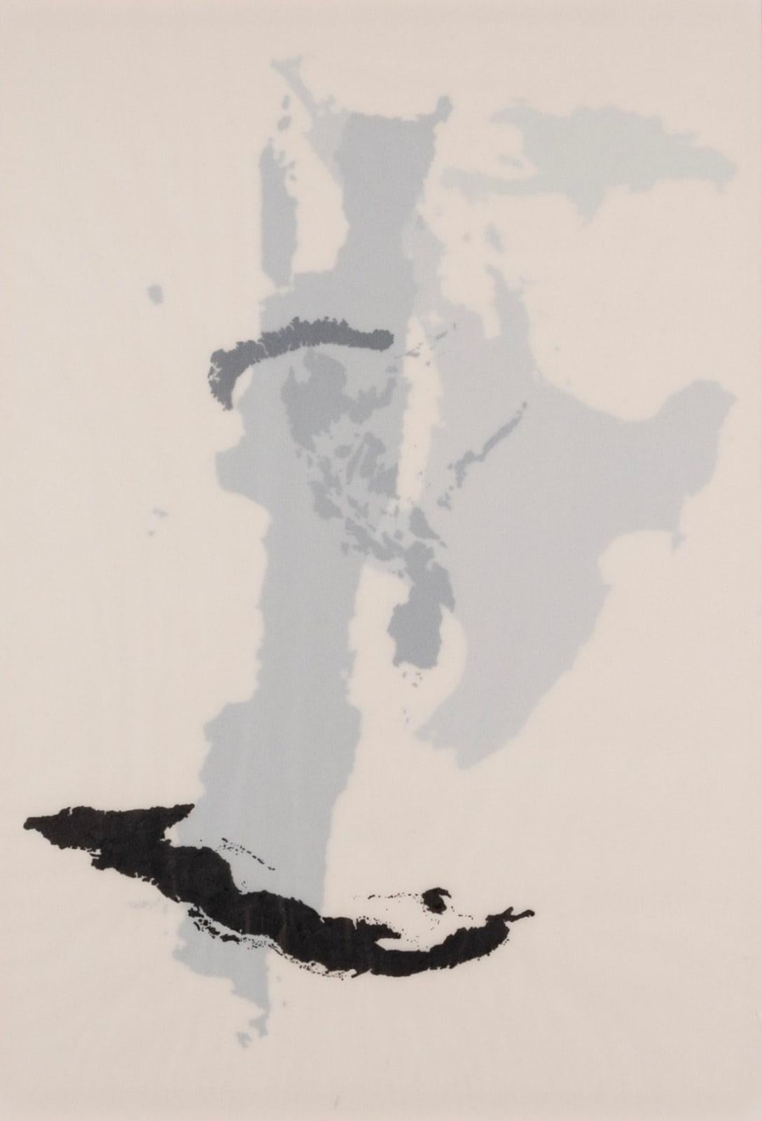 Isole di Tania Kovats, 2001

Informazioni aggiuntive:
Medium: inchiostro su acetato opaco stratificato
41 x 29 cm
16 1/8 x 11 3/8 pollici
