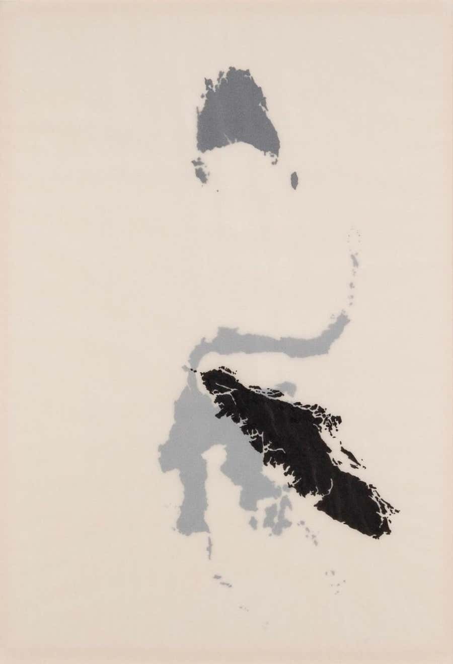 Islands, Ink on Layered Matte Acetate, Painting by Tania Kovats, 2001(2)