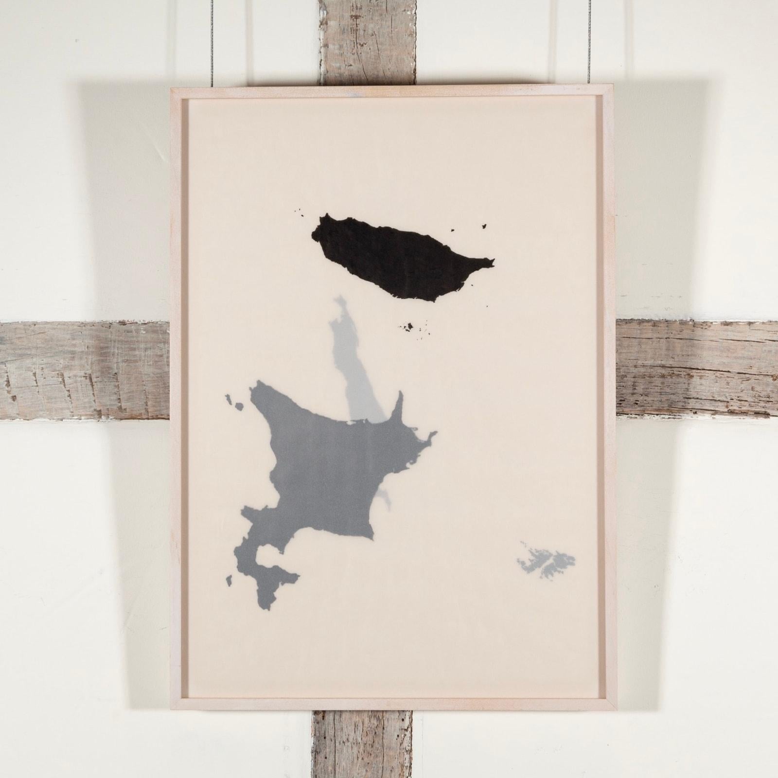 Isole, inchiostro su acetato opaco stratificato, dipinto di Tania Kovats, 2001(5) in vendita 1