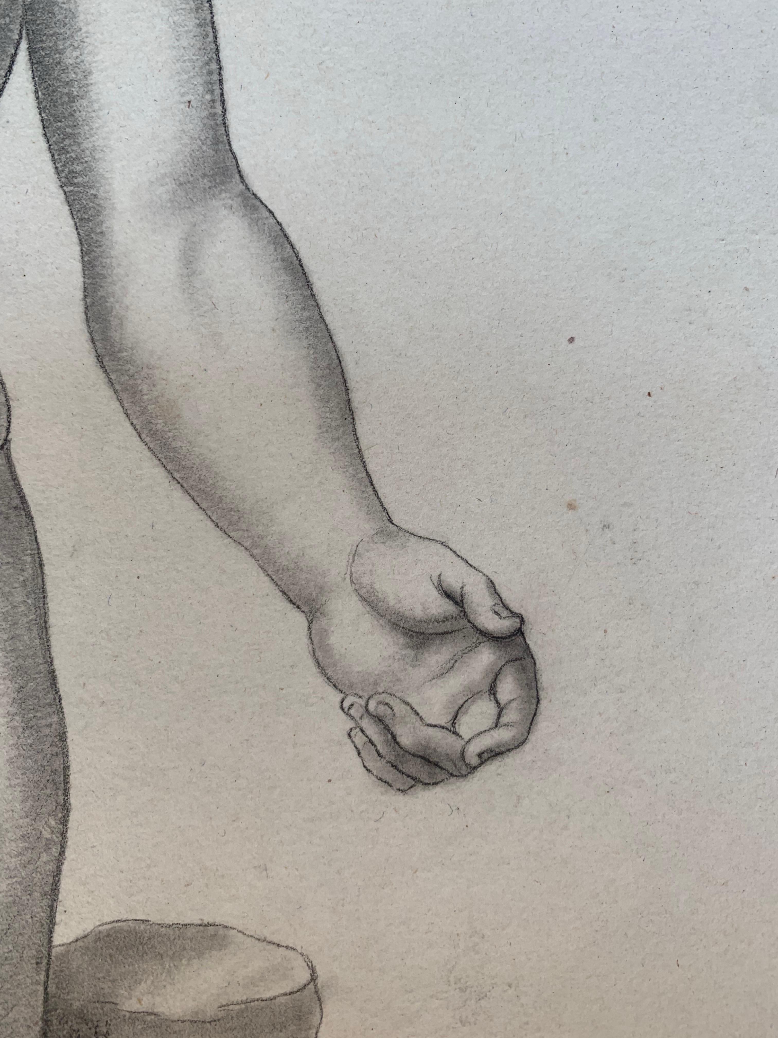 Disegno accademico italiano del XIX secolo: Adone del Vaticano - Painting di Unknown