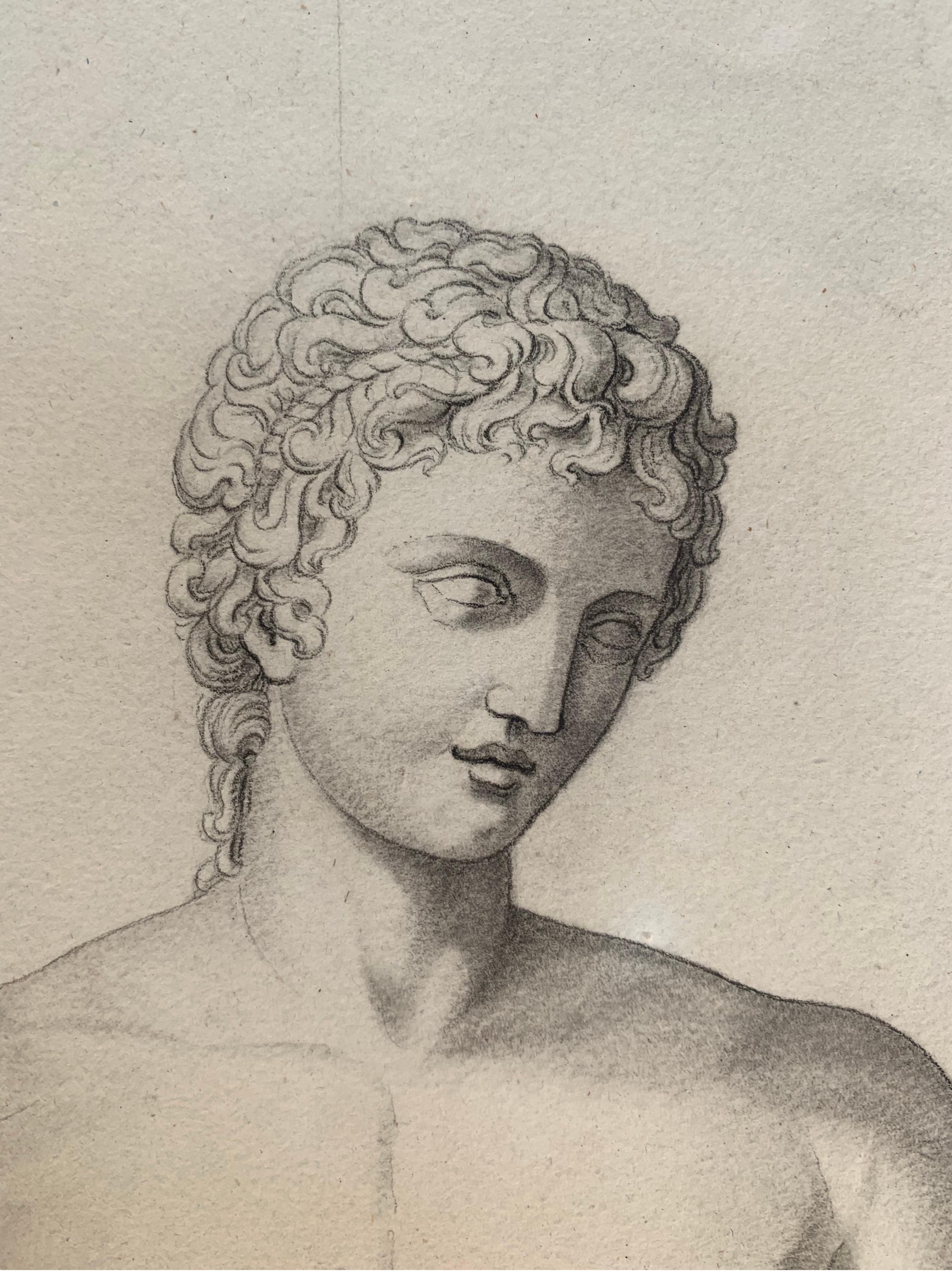 Disegno accademico italiano del XIX secolo: Adone del Vaticano - Painting Accademia di Unknown