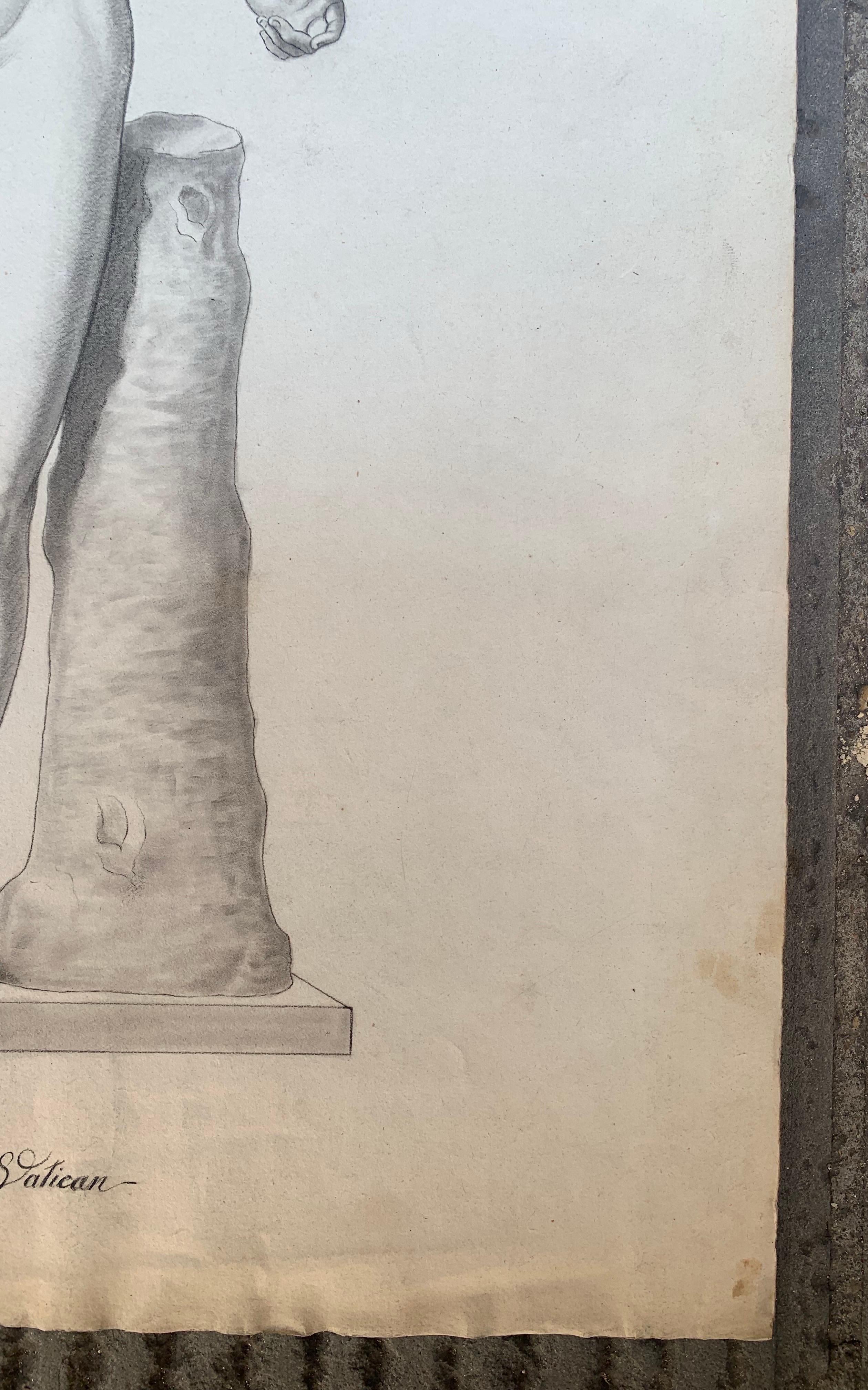 Disegno accademico italiano del XIX secolo: Adone del Vaticano 4
