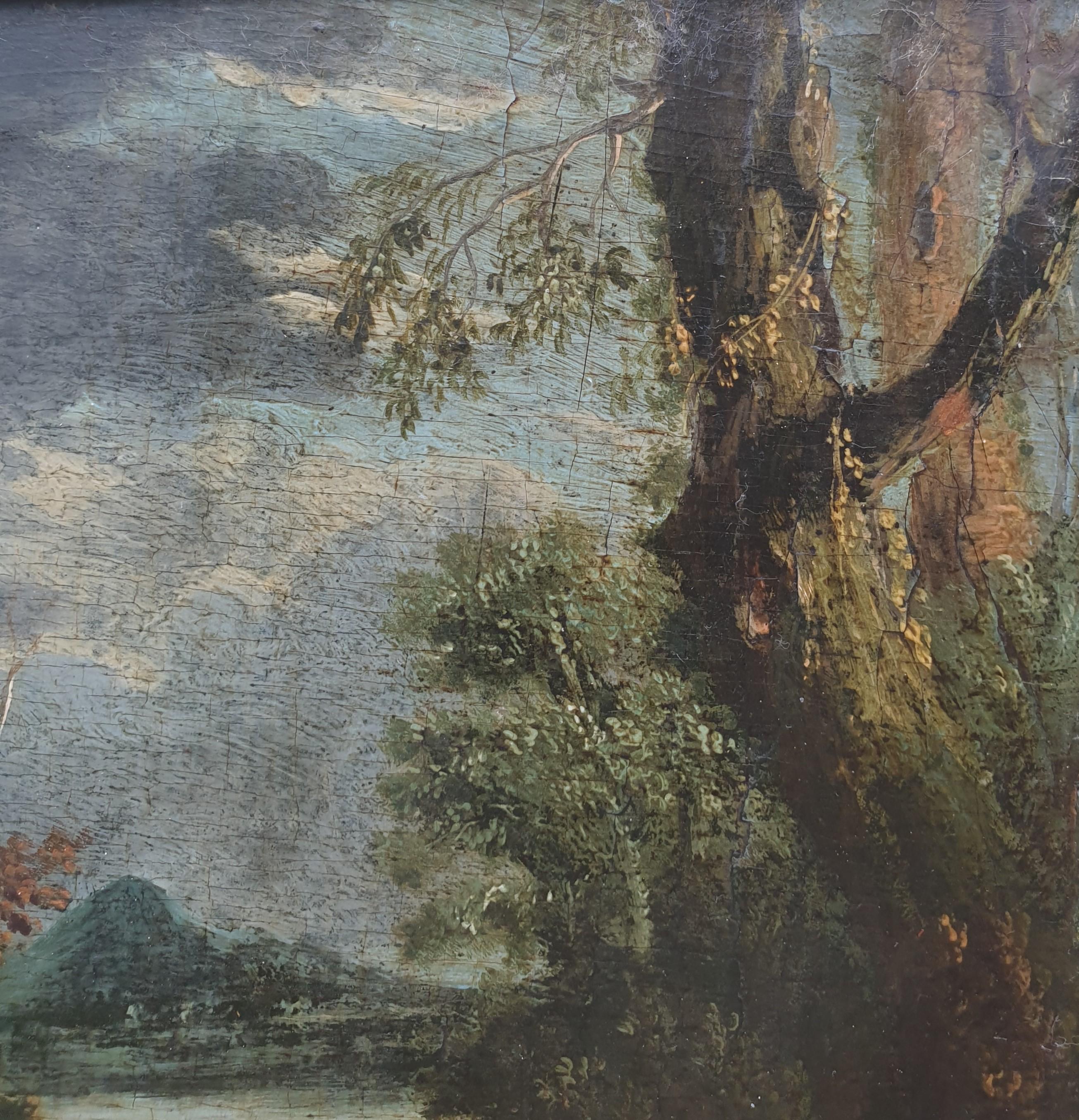 foresta delle gosse