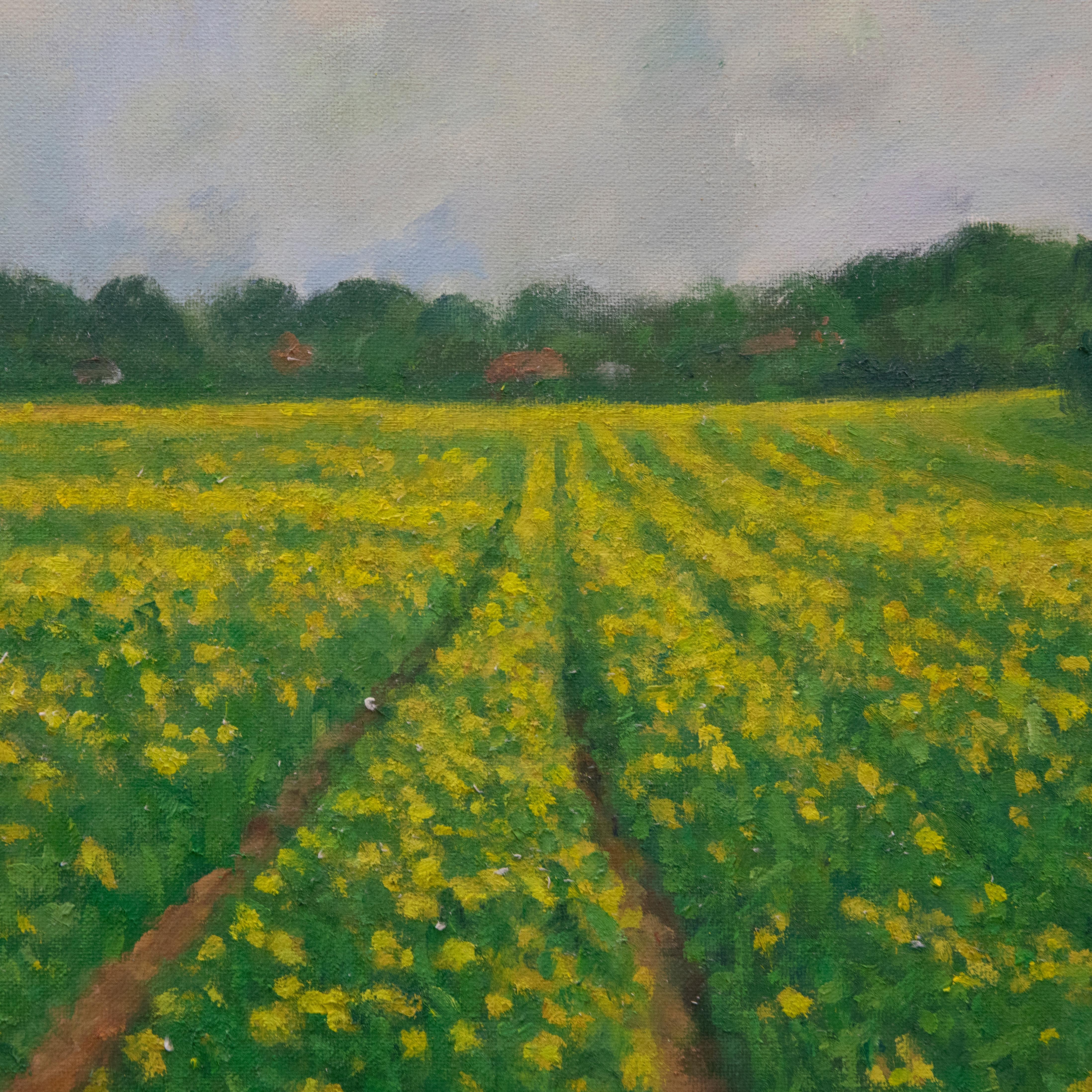 J. Simpson - Contemporary Oil, Rapeseed Field For Sale 1