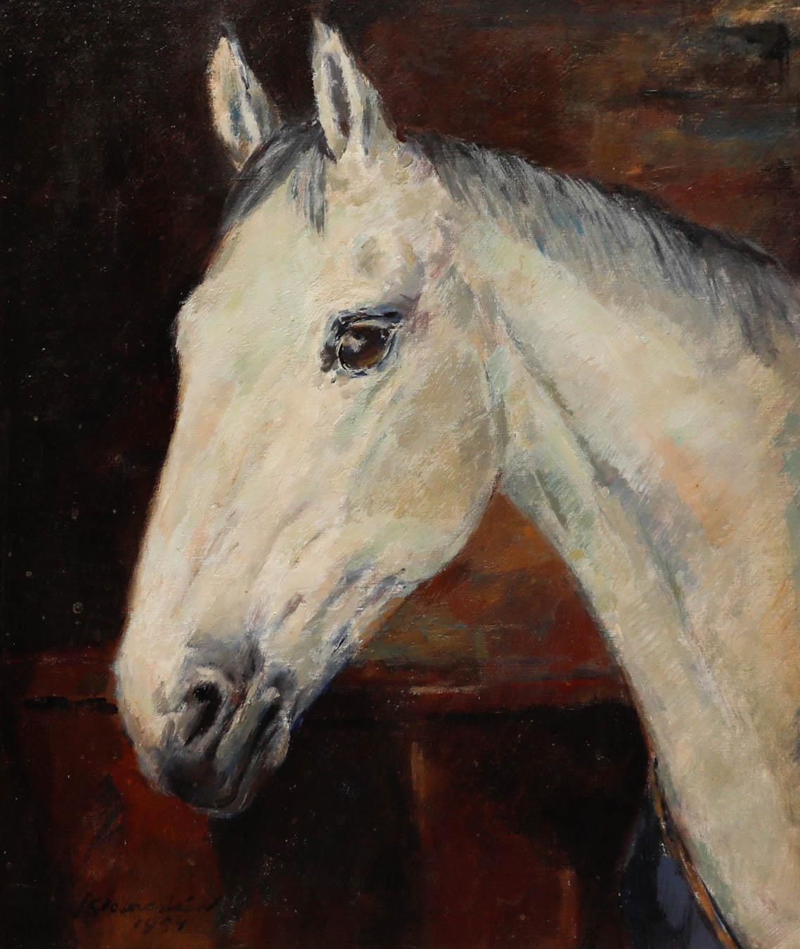 Jan Groenestein (1919-1979) - 1952 Oil, Head of a Grey Horse - Painting by Unknown