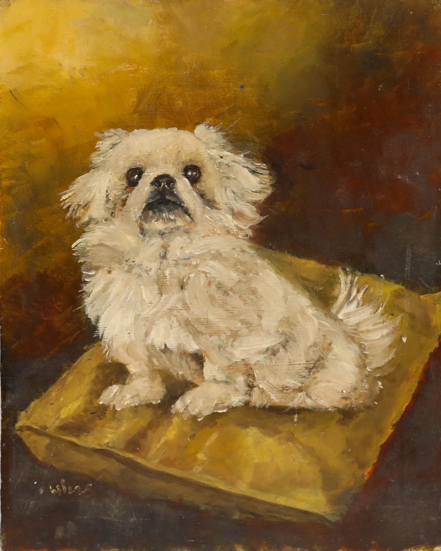Charmant portrait d'un chien pékinois assis sur un coussin, réalisé par l'artiste britannique Joan Wills (1920-2003). Peint dans un style naïf et joyeux. Signé en bas à gauche. Label fixé au verso. A bord.