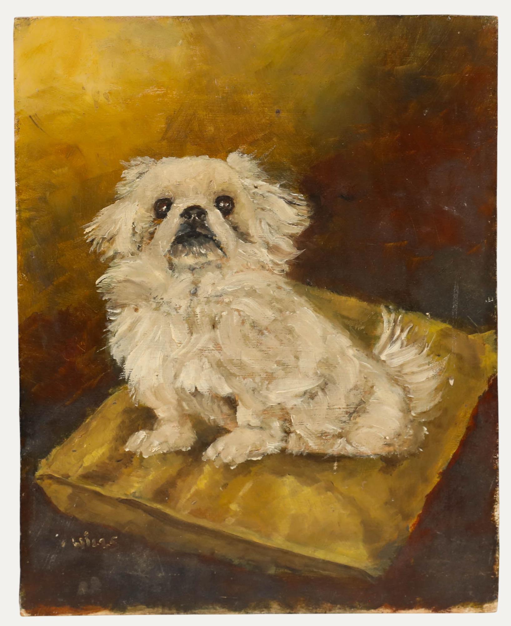 Animal Painting Unknown - Joan Wills (1920-2003) - Huile du milieu du 20e siècle, Un beau chapeau