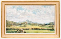 John Alford (geb. 1929) - English School 2006 Öl, Die Longnor Hills