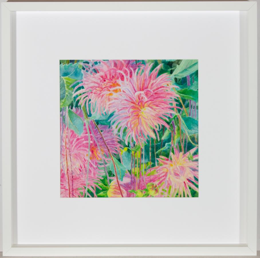 Unknown Still-Life Painting - John Ivor Stewart PPPS (1936-2018) - Framed Oil, Pink Chrysanthemums