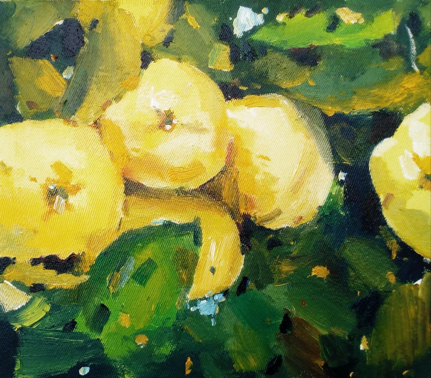 Unknown Still-Life Painting - Juicy quince fruit - Oil Painting by Dilshod Khudayorov, 2021
