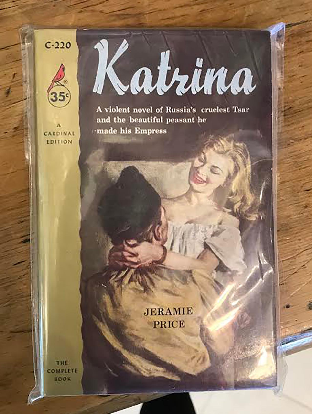 Katrina Paperback Cover - Brown Figurative Painting by Unknown